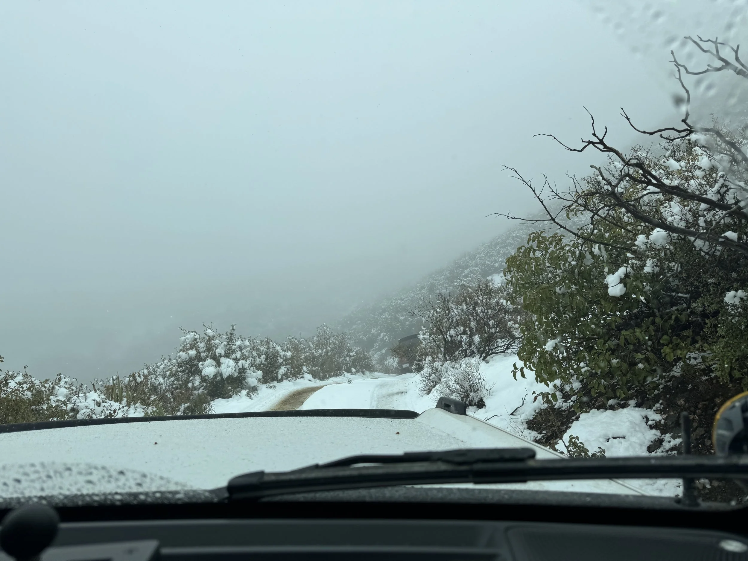 Arizona Broncos Snow