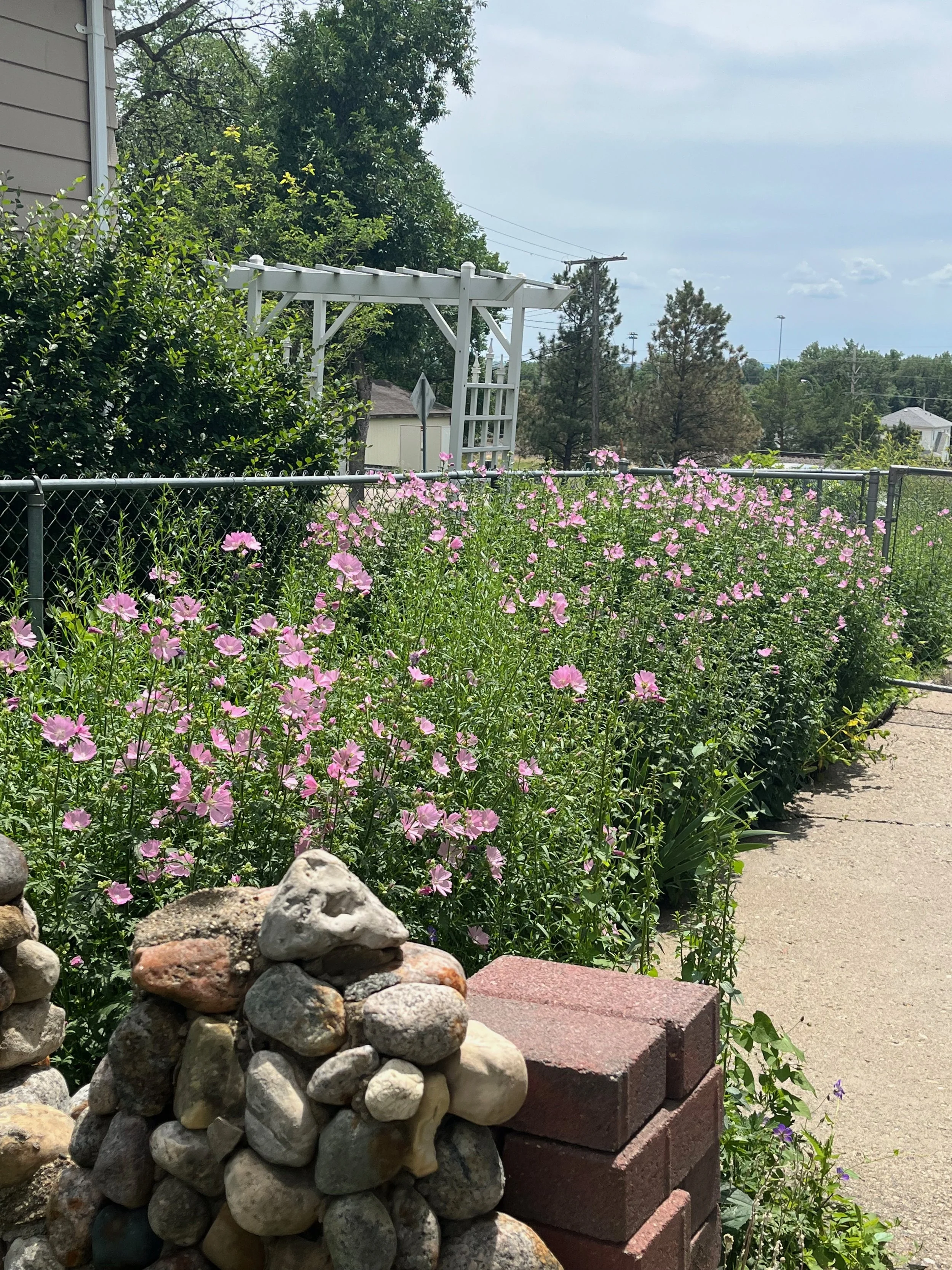 A garden with pink flowers along a chain-link fence, a sidewalk on the right, a stone and brick border in the foreground, and trees, houses, and a cloudy sky in the background.