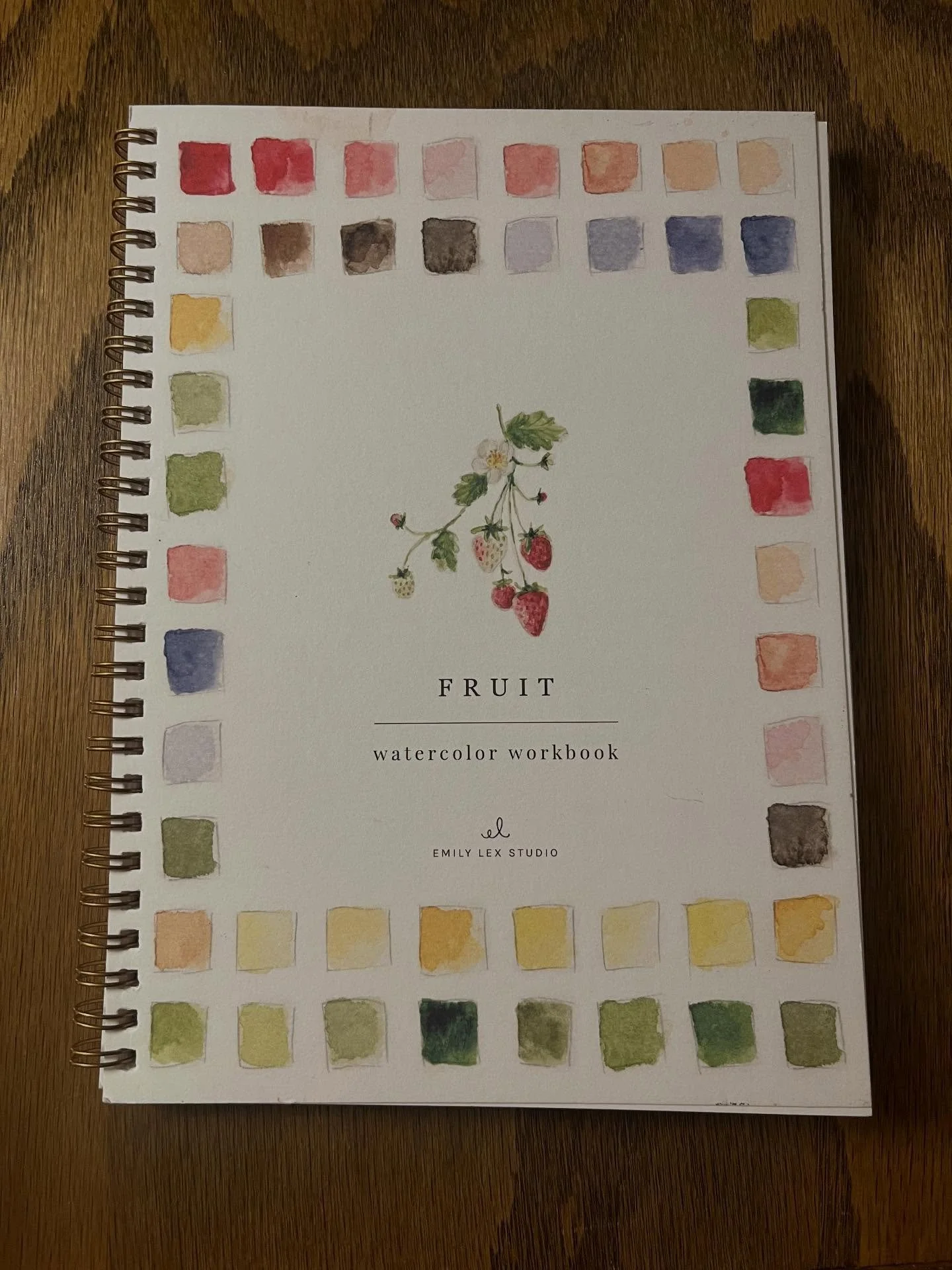 watercolor workbook complete 🍓 @emilylexstudio