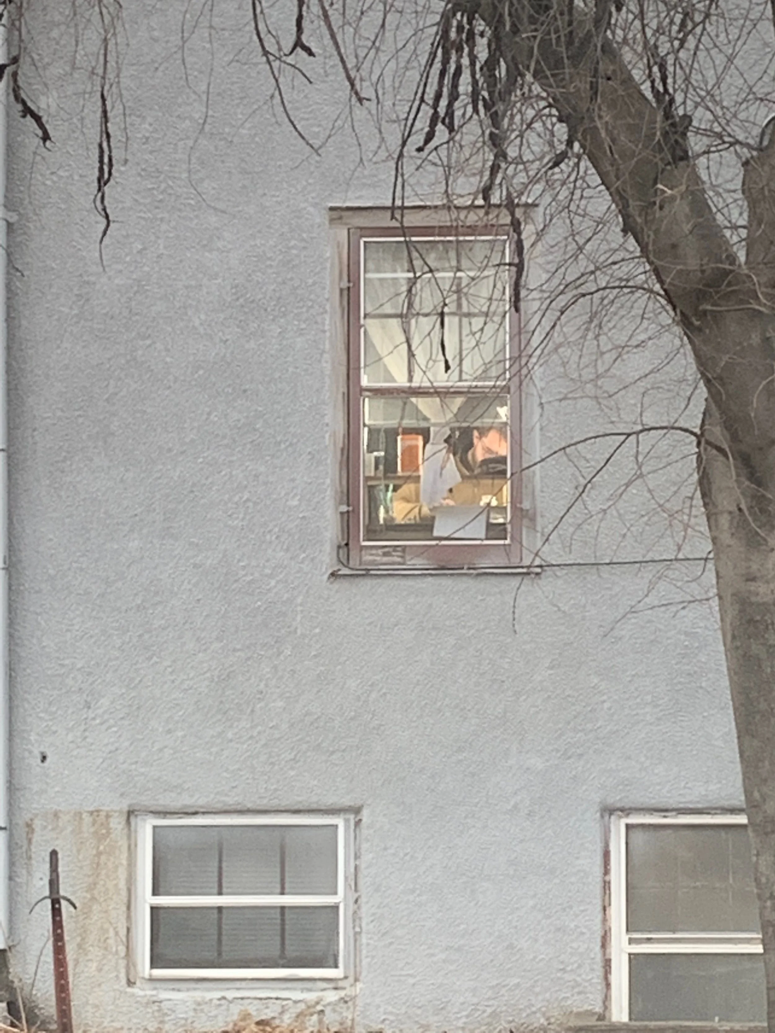 A woman reading or working at a desk inside a room, viewed through a window on a gray exterior wall of a building. The window has a metal frame and is partially open. There is a tree with bare branches in front of the window.