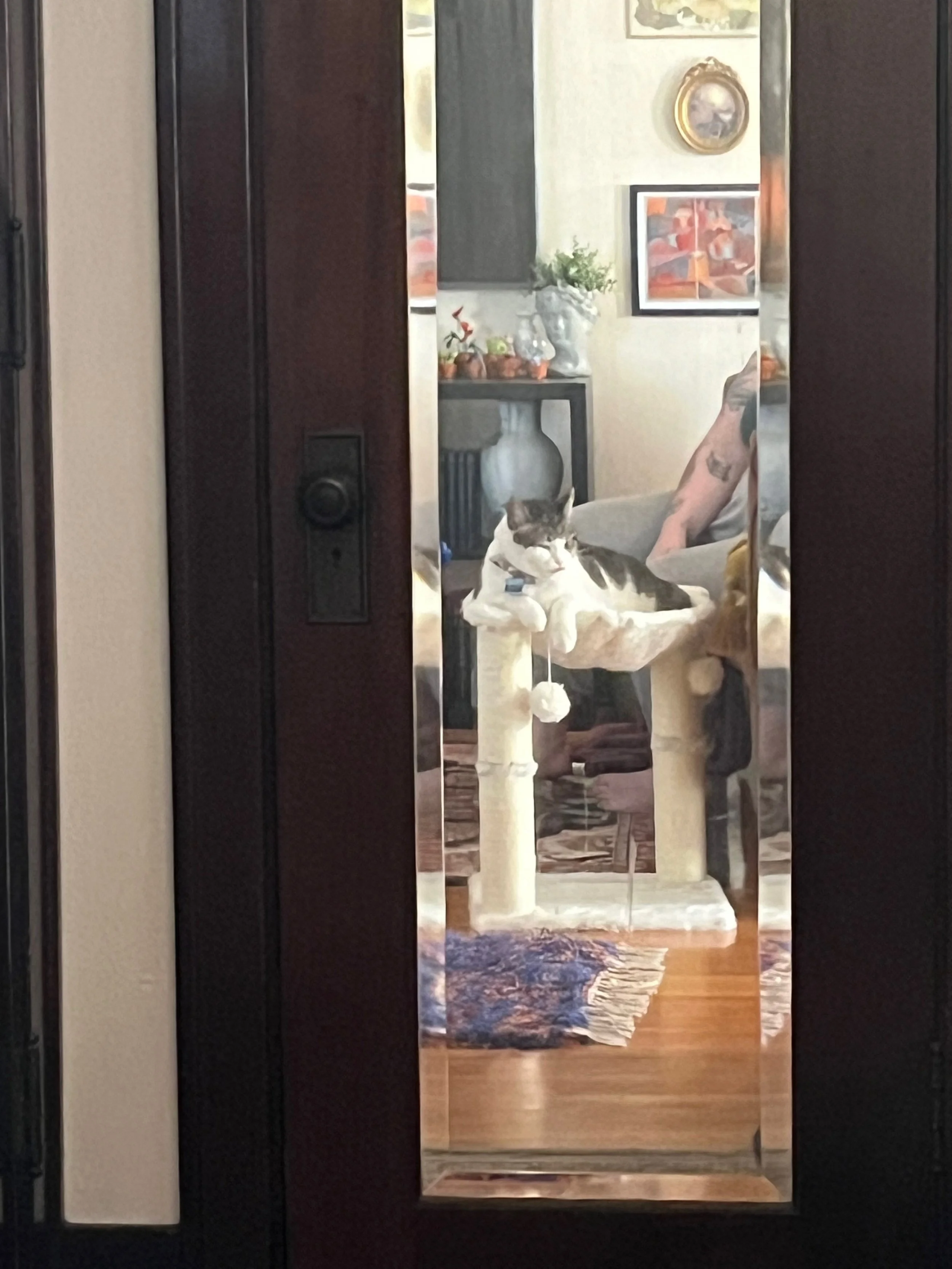 Reflection in a mirror shows a person sitting on a beige chair with a black and white cat on a cat tree. The background has framed artwork, a plant, and a small table with decorative items.