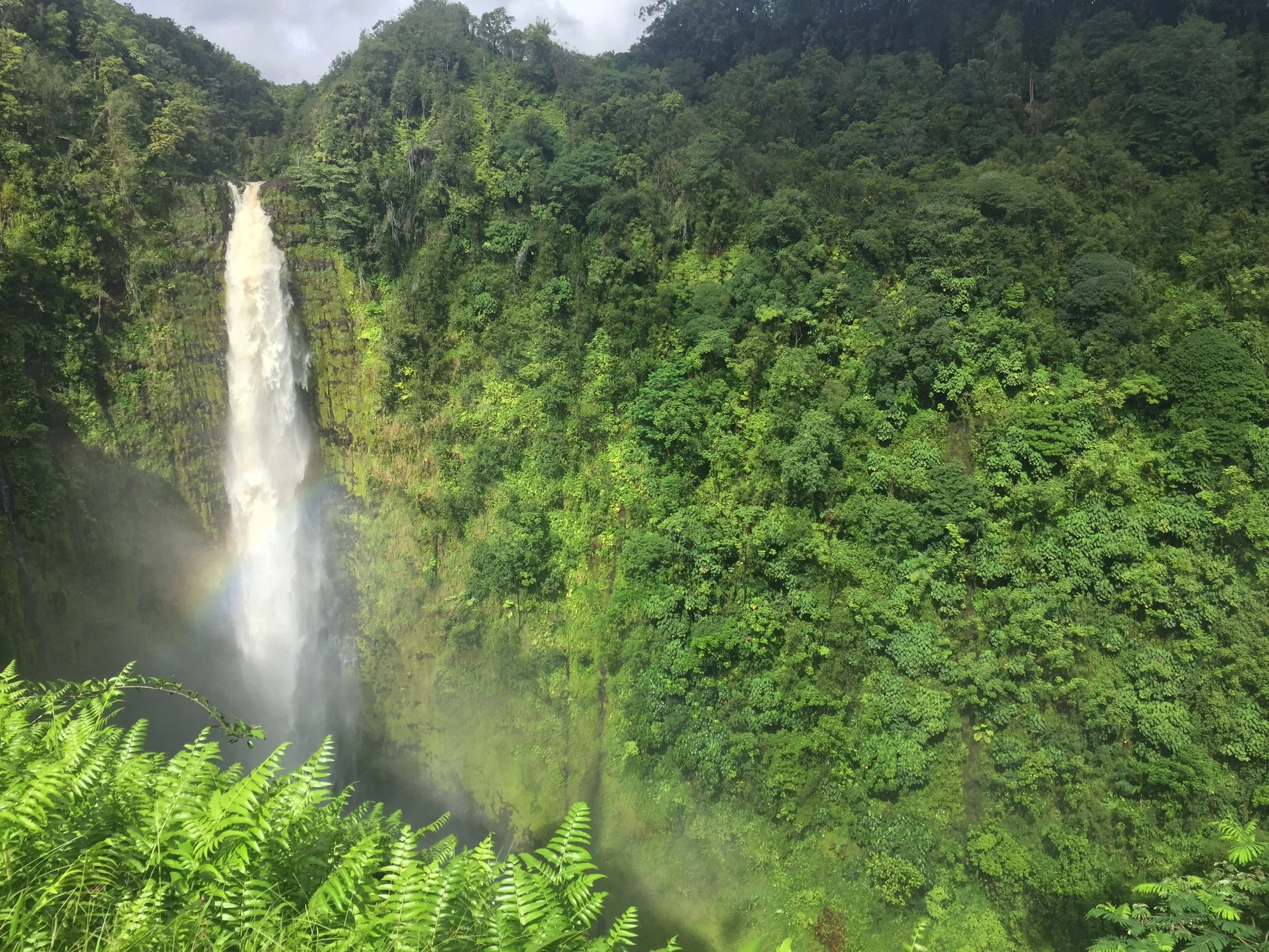 A tall waterfall cascading down a green, lush hillside with fog and a rainbow at the base.