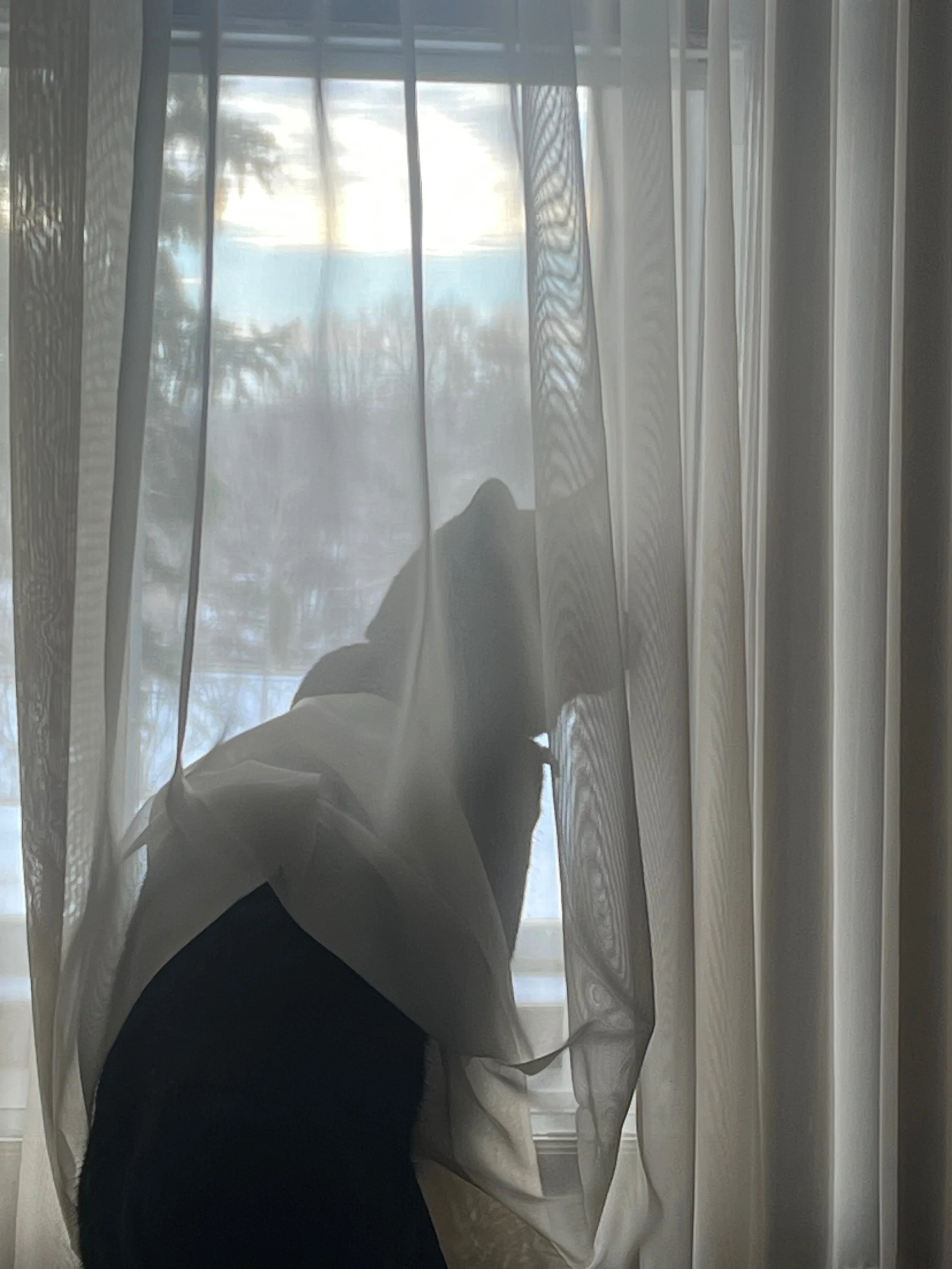 Person with long hair leaning on a curtain in front of a window, sunlight letting through the sheer curtains, with trees visible outside.