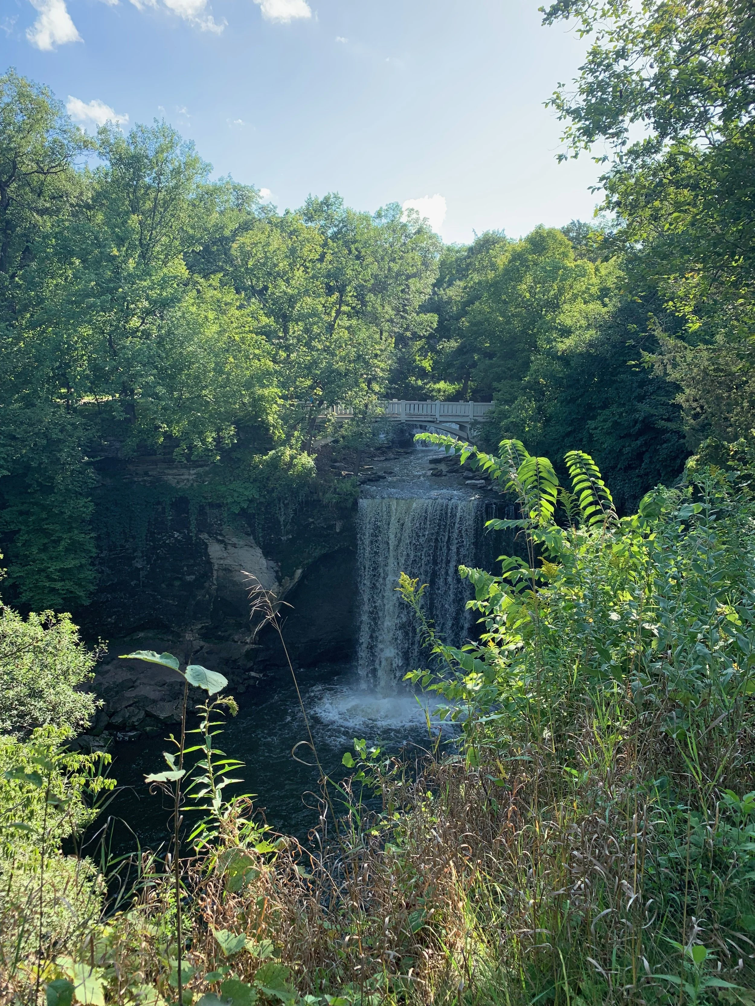 A waterfall flowing into a creek surrounded by lush green trees and plants, with a white bridge visible in the background under a clear blue sky.