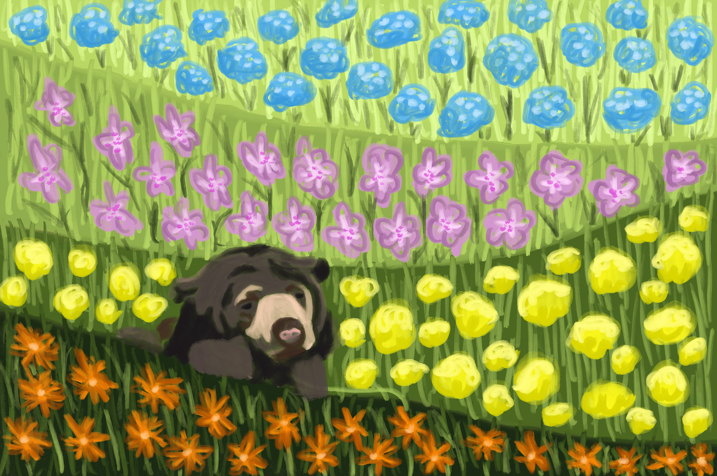 IMG_0228.png