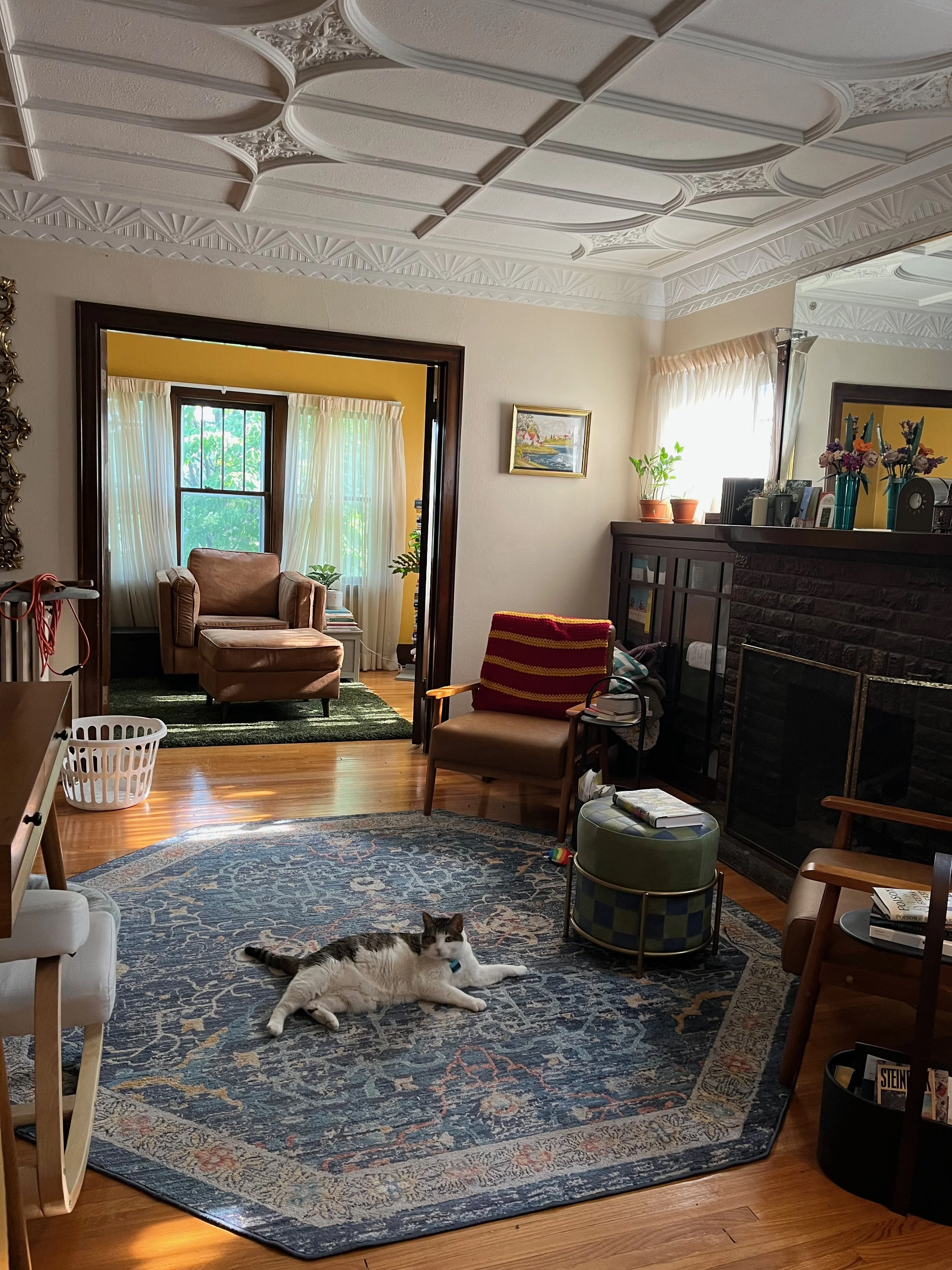 A cozy living room with hardwood floors, a patterned area rug, a relaxed cat lying on the rug, chairs, a fireplace, and natural light coming through the windows.