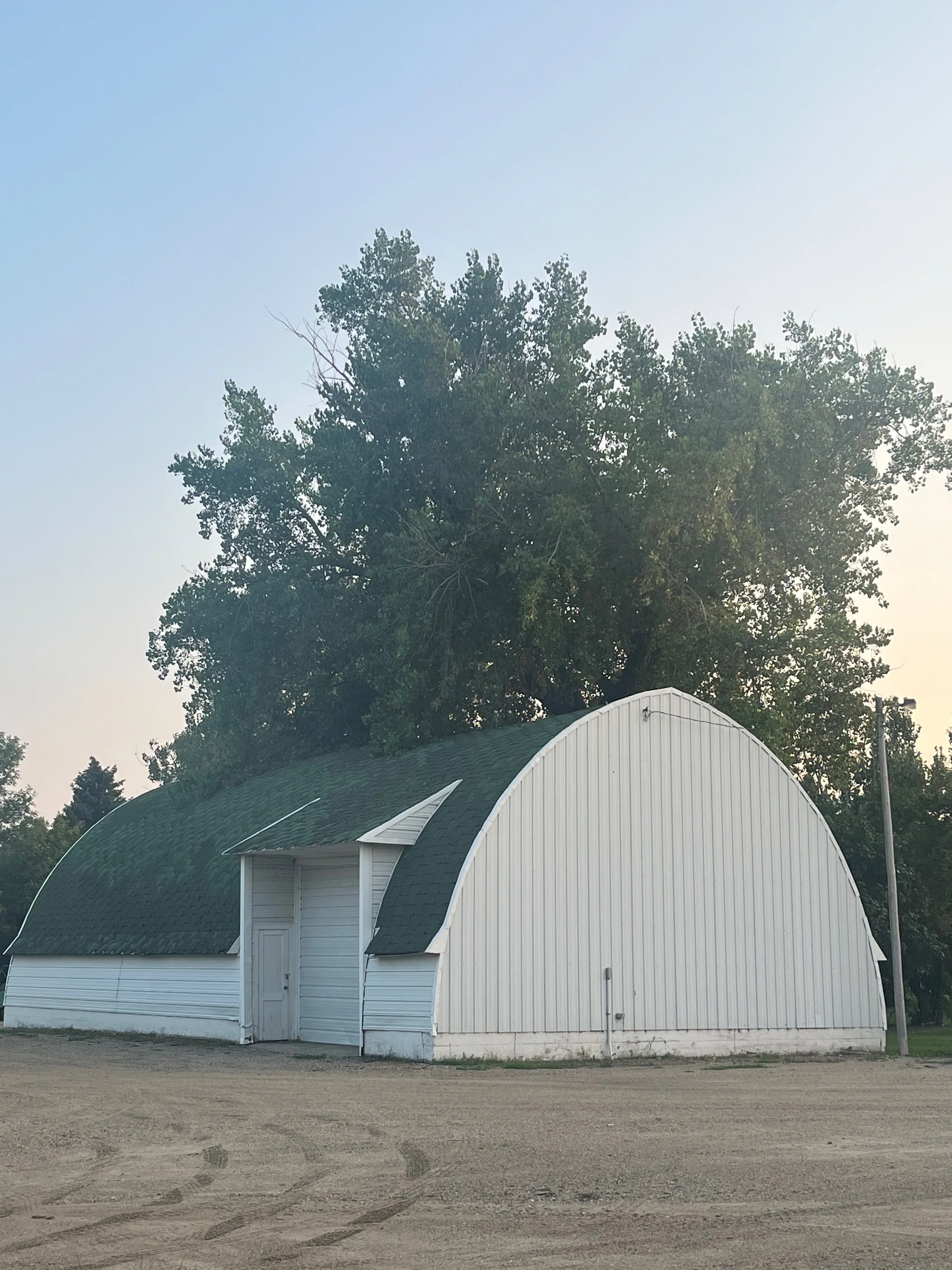 A white barn with a curved roof and a small window, situated in front of a large tree with green foliage.