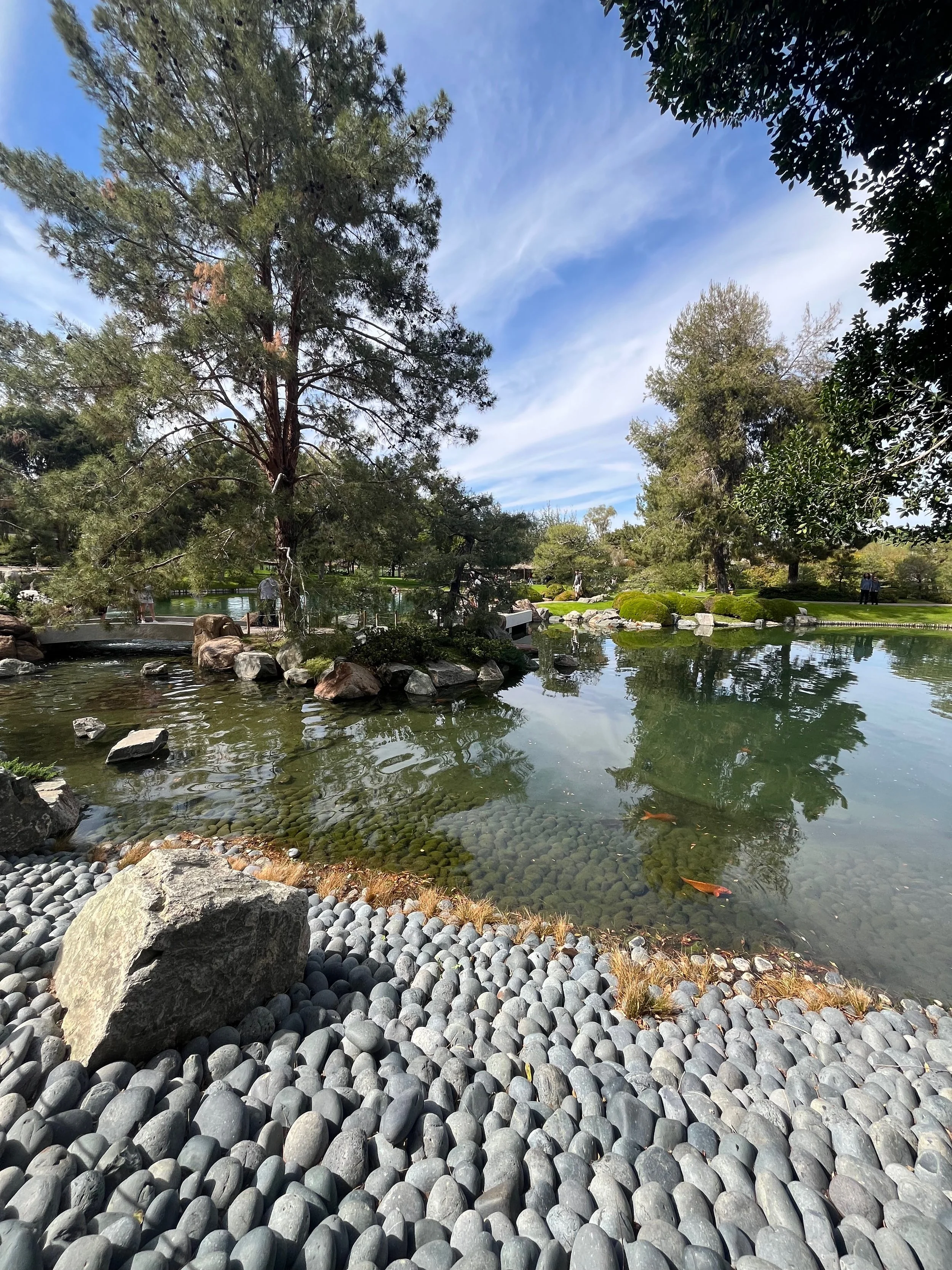 A peaceful park scene with a pond surrounded by smooth gray stones, trees, and bushes, under a partly cloudy sky.