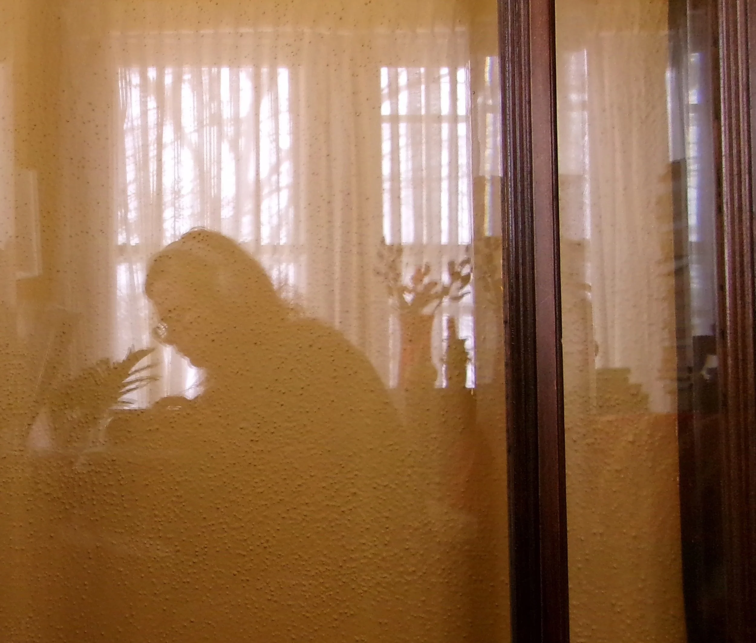 Silhouette of a woman looking at her phone, seen through a textured glass door or window with reflections of curtains and a plant in the background.