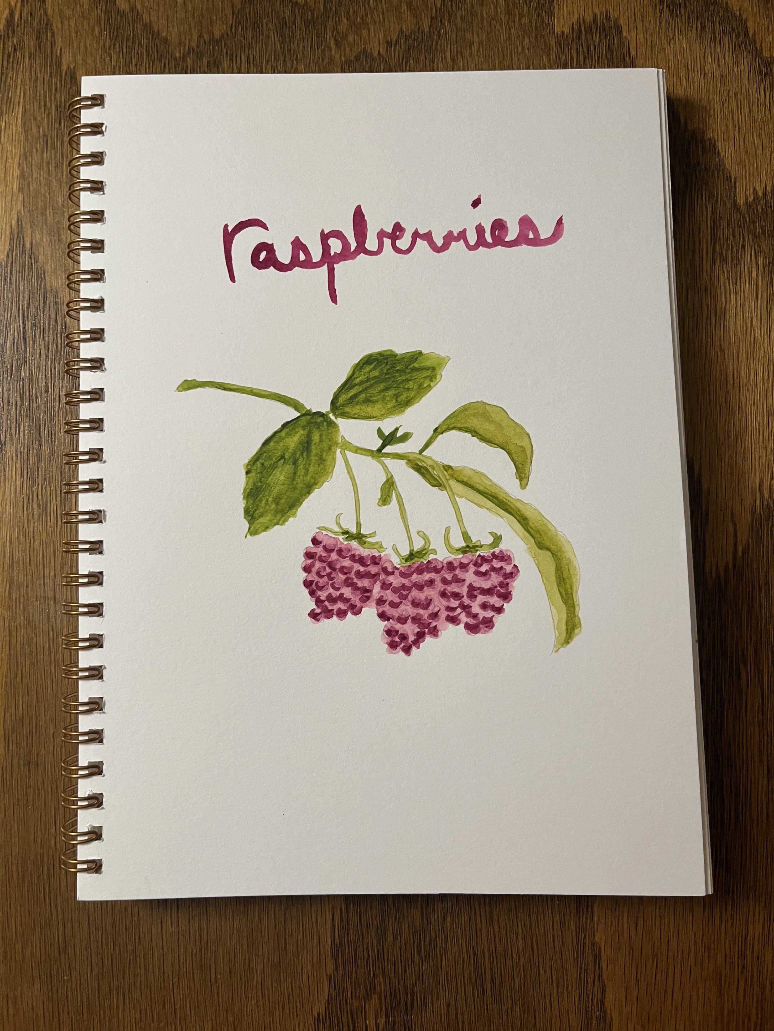 A spiral-bound notebook with a hand-painted illustration of a raspberry plant, including green leaves and pink raspberries, and the word 'raspberries' written in purple ink at the top.