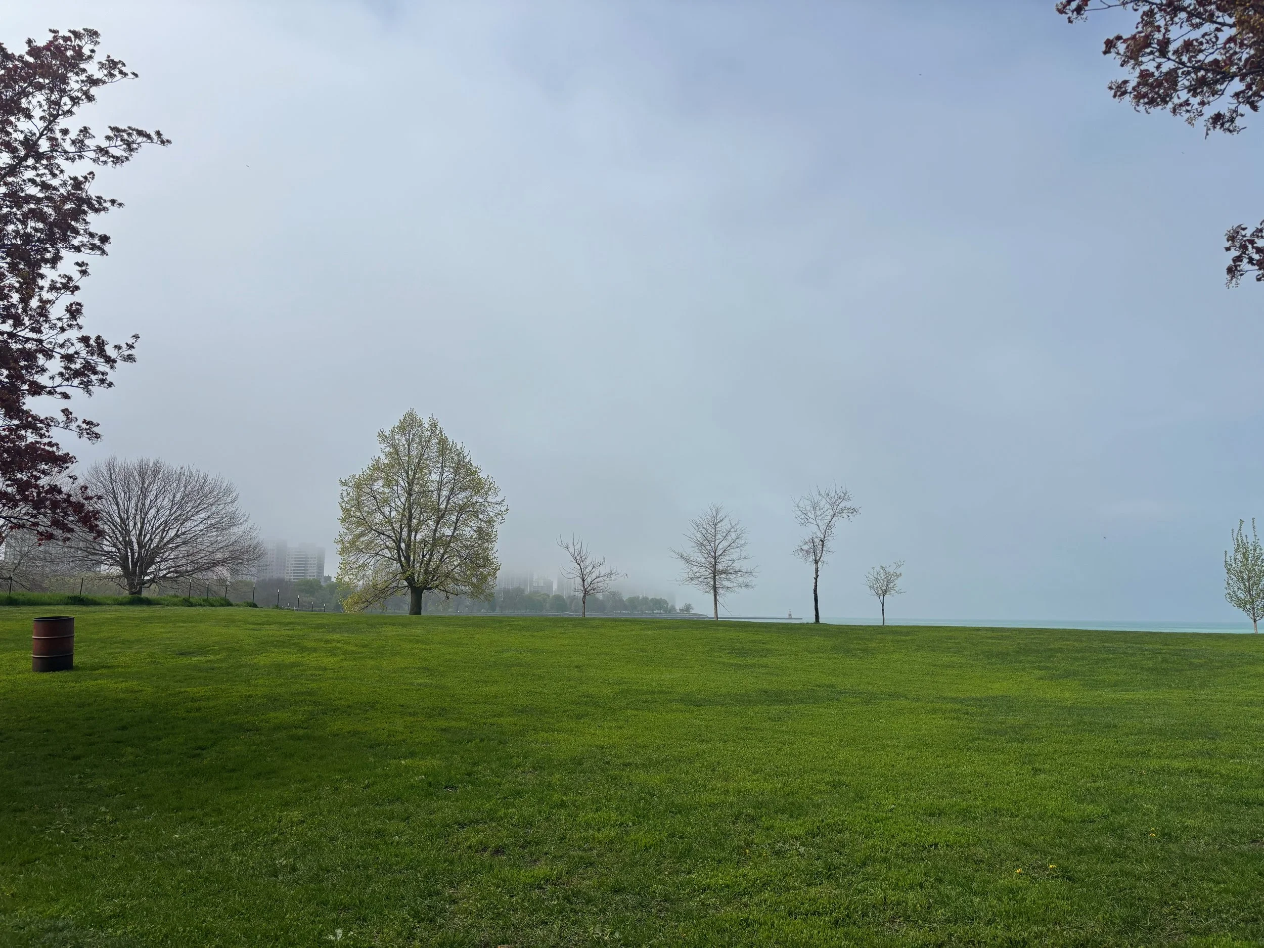 A grassy park with scattered trees and a cloudy sky, with a faint city skyline and water in the distance.