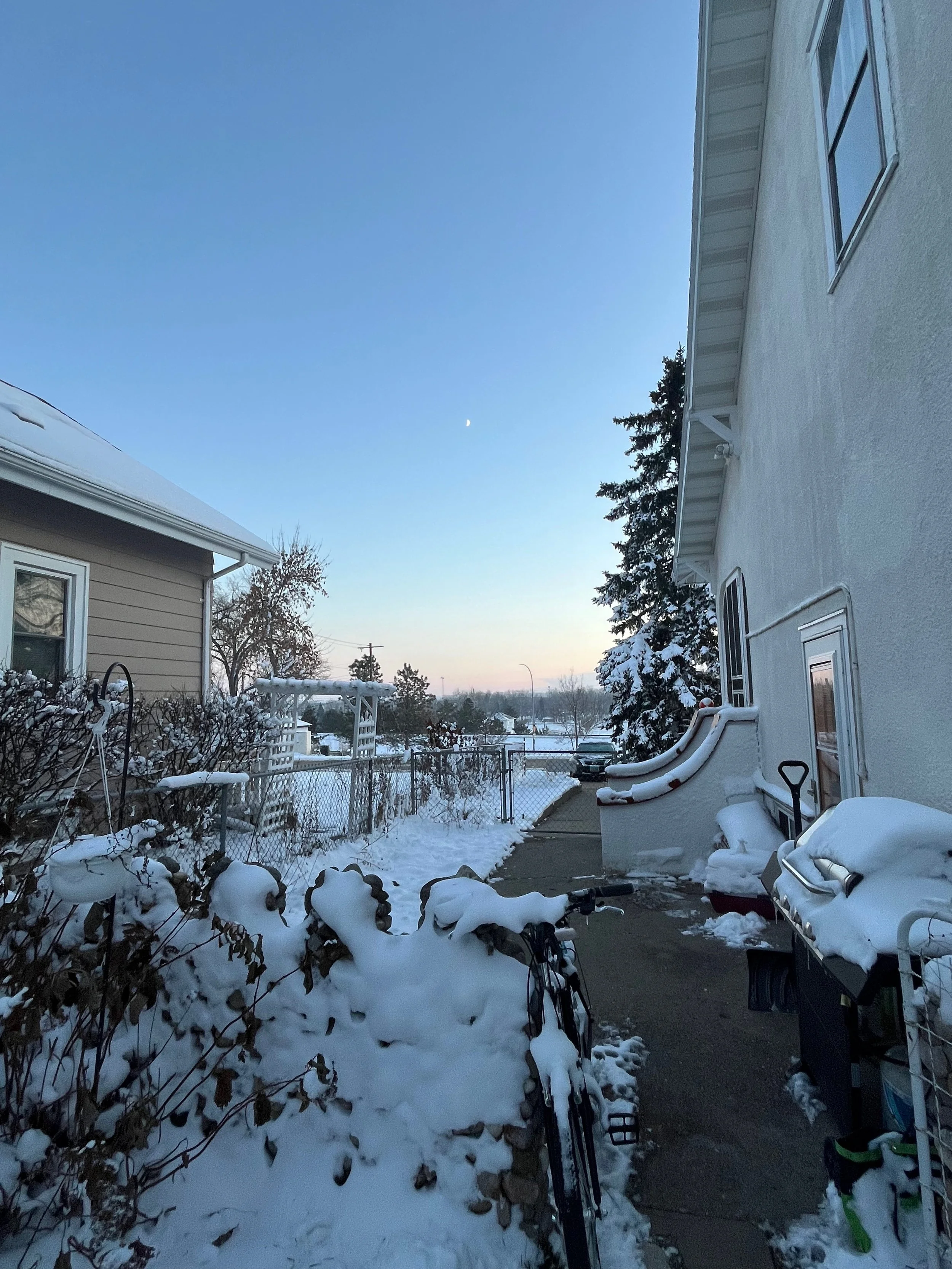 Snow-covered backyard with two houses on either side, a fence, bicycles, and snow-laden trees under a clear sky with the moon visible.