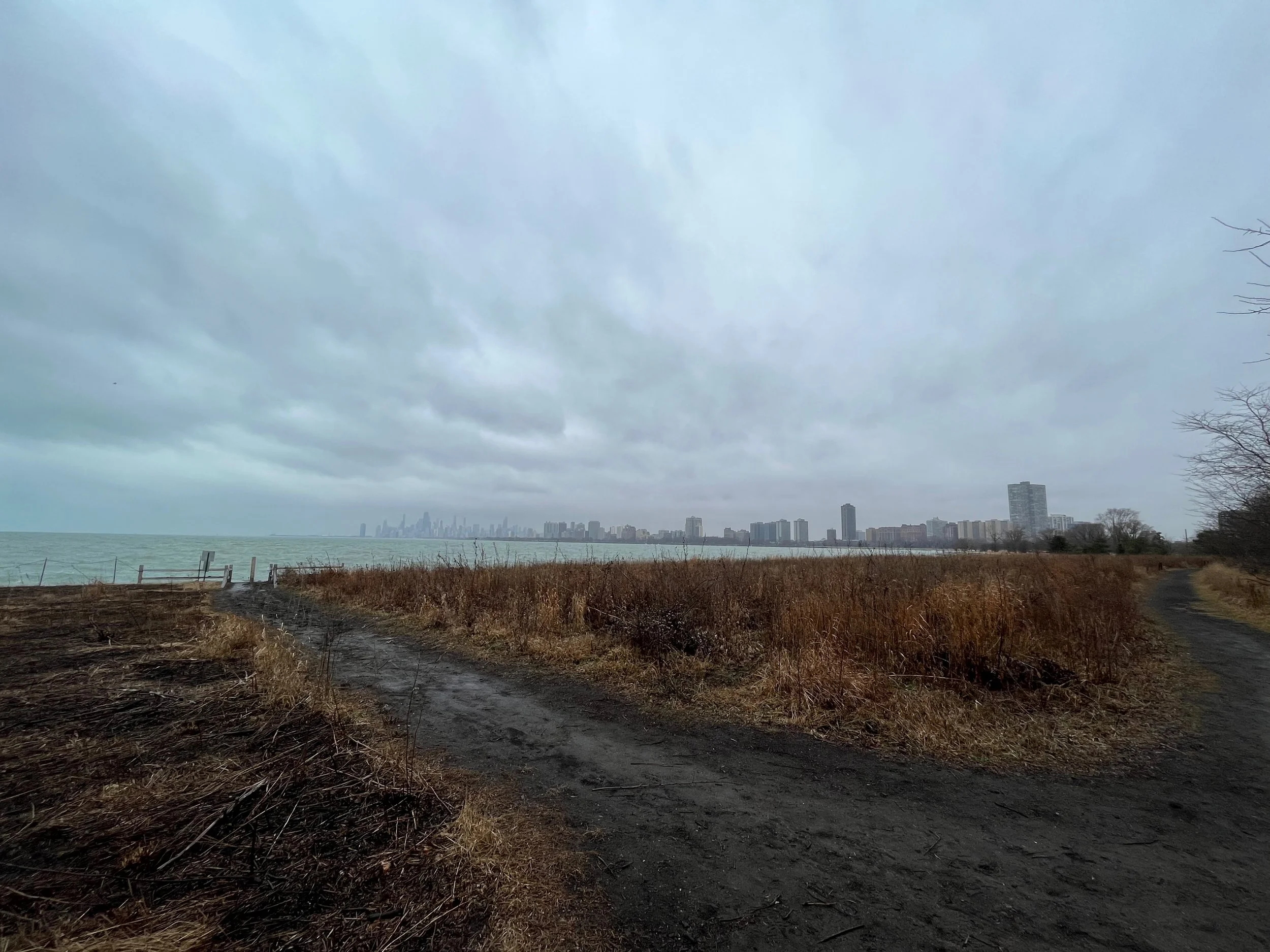 View of a city skyline in the distance with several high-rise buildings, taken from a dirt path on a cloudy day with overcast sky, some dry grass and sparse trees along the path.