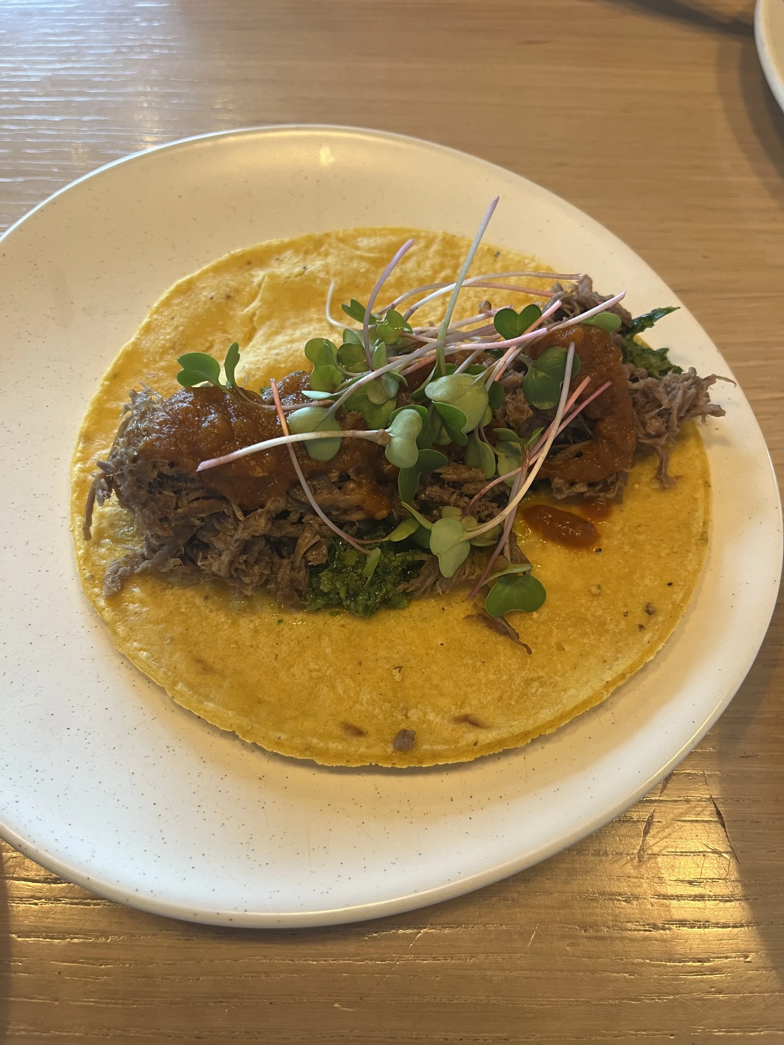 Corn tortilla topped with shredded beef, microgreens, and sauce, served on a white plate.
