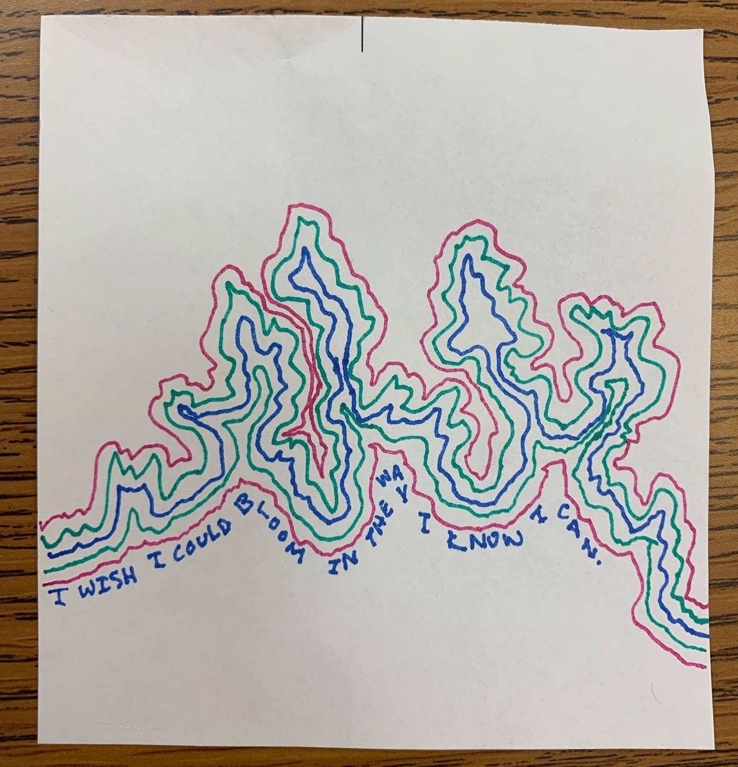 Hand-drawn colorful contour lines forming a mountain shape with the words 'I wish I could be in the air, then what I know I can' written at the bottom.