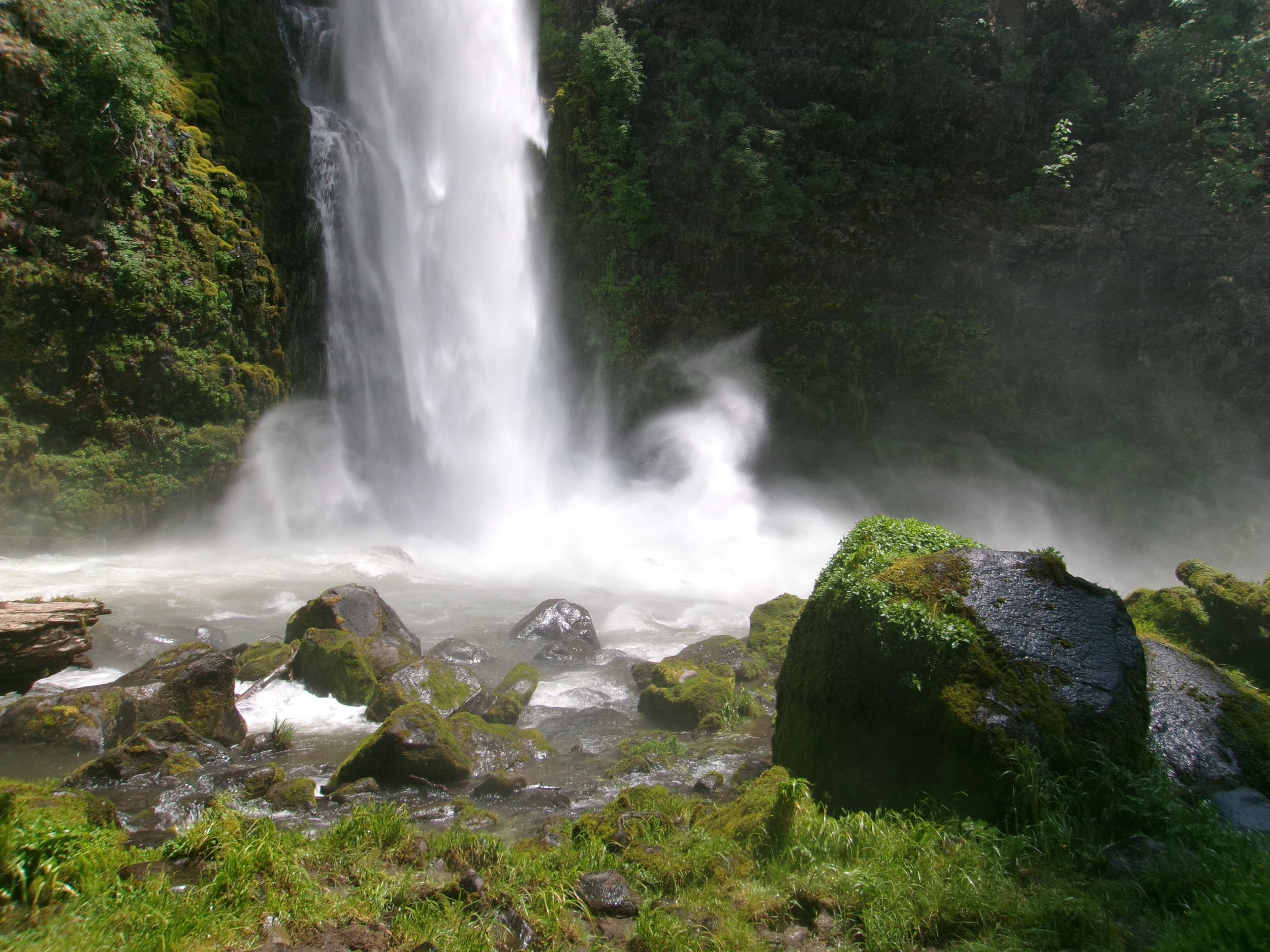 A waterfall in a lush green forest with rocks and moss in the foreground.