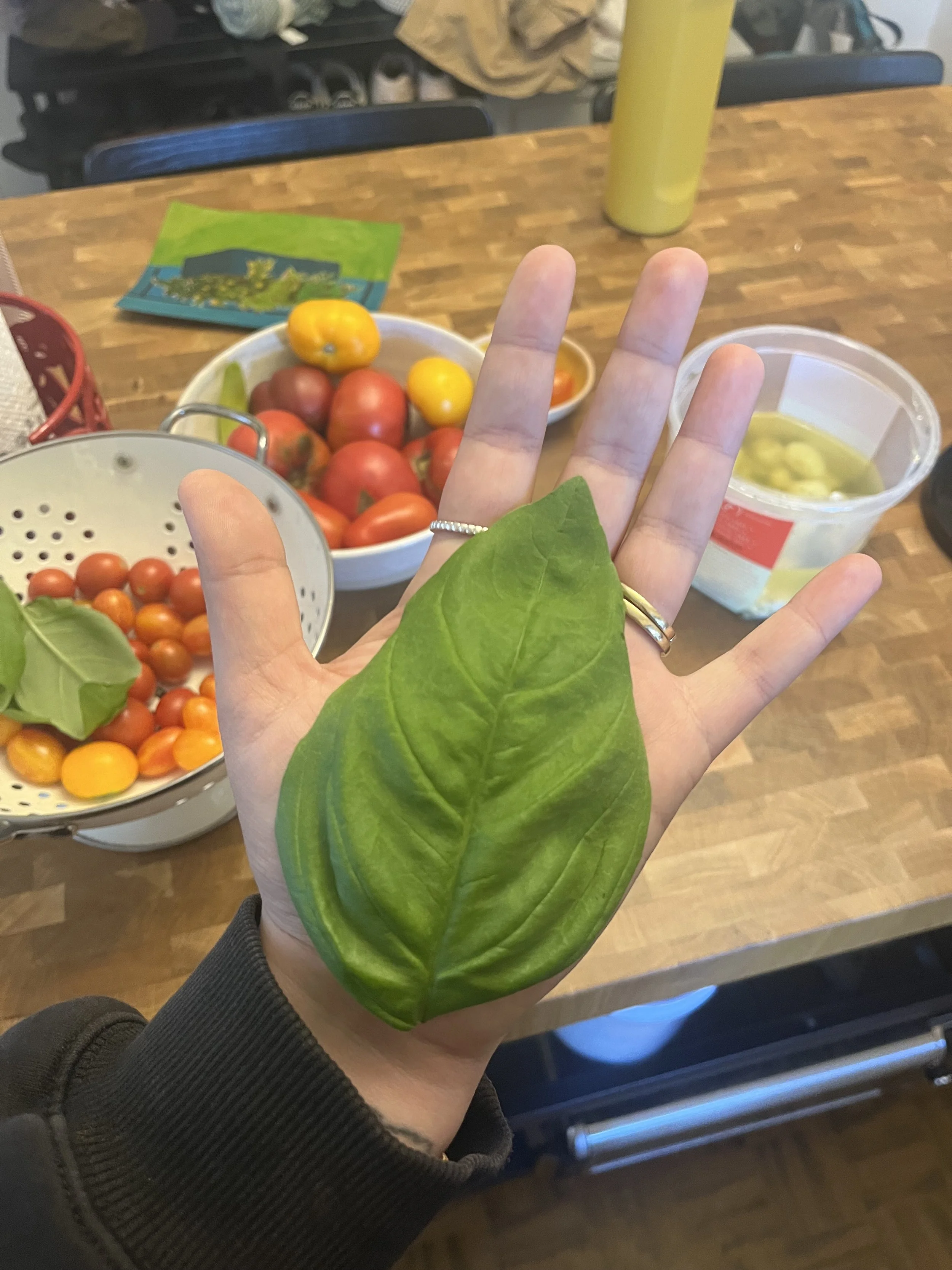 Hand holding a large green basil leaf with a kitchen table in the background filled with tomatoes and other fresh produce.