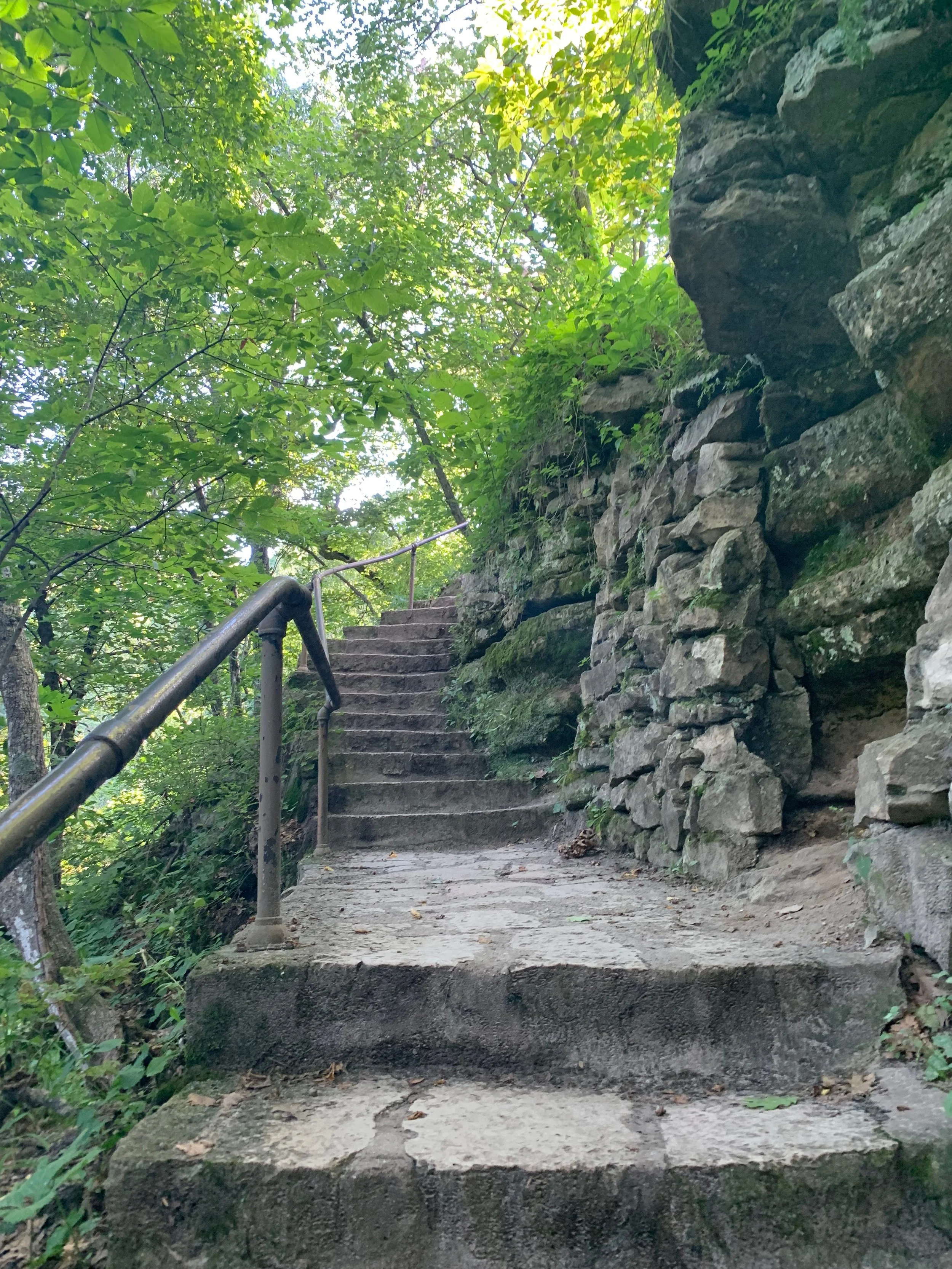 Stone steps ascending alongside a rocky wall, surrounded by green trees and foliage.