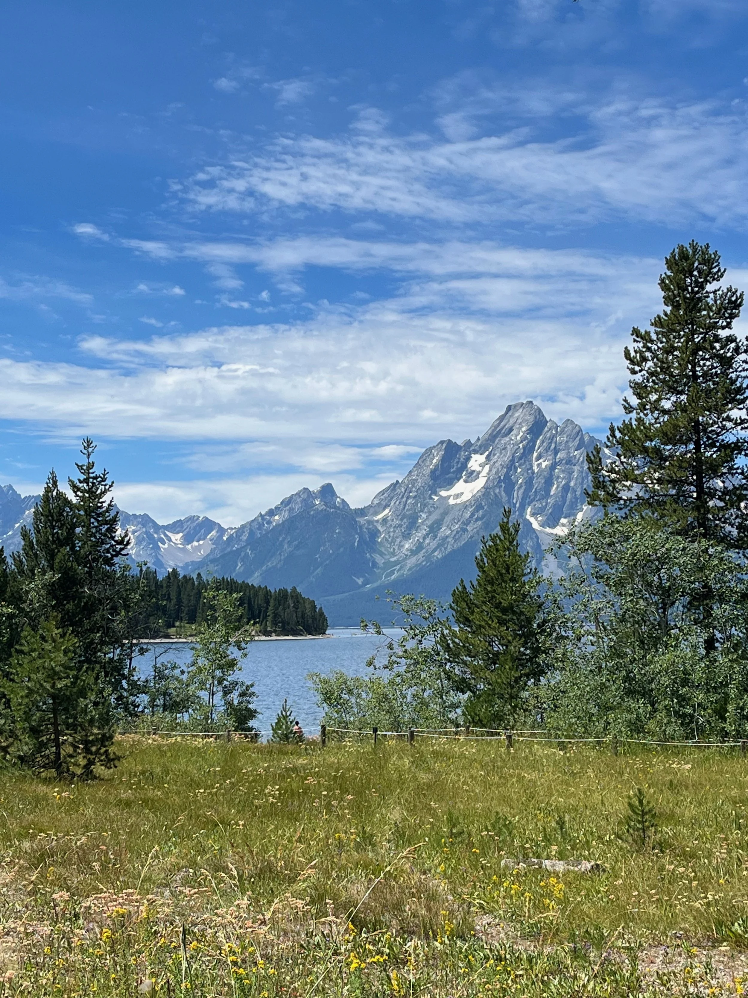 Scenic view of a mountain range with snow-capped peaks, a lake in the foreground, and a grassy field with trees under a partly cloudy blue sky.