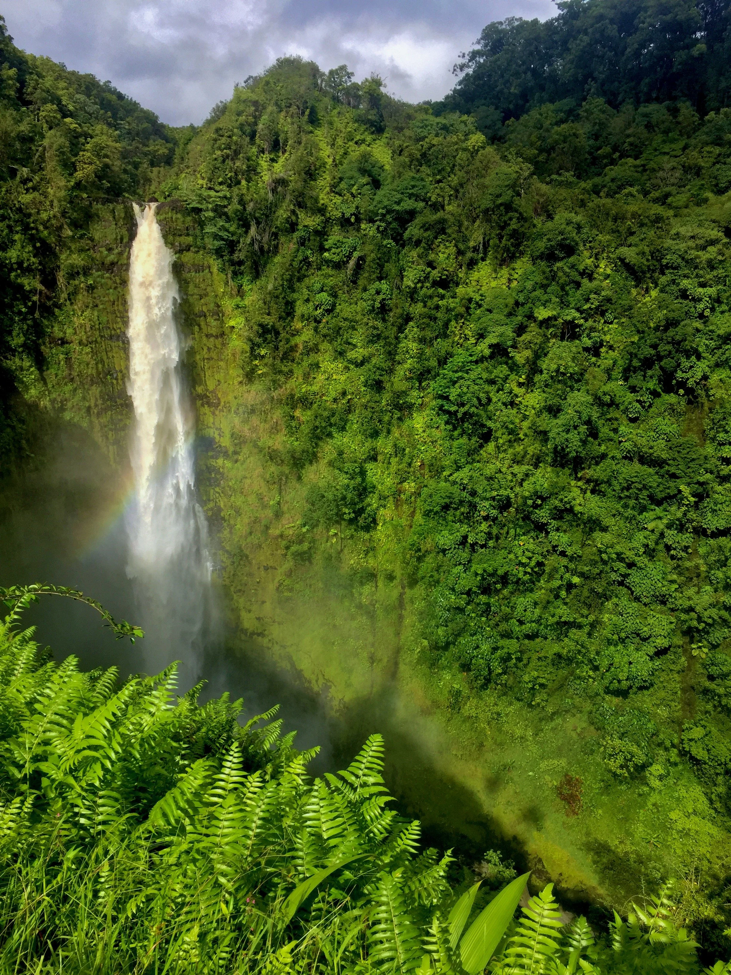 Lush green tropical forest with a tall waterfall cascading into a misty pool below, partially rainbow visible at the waterfall’s mist.