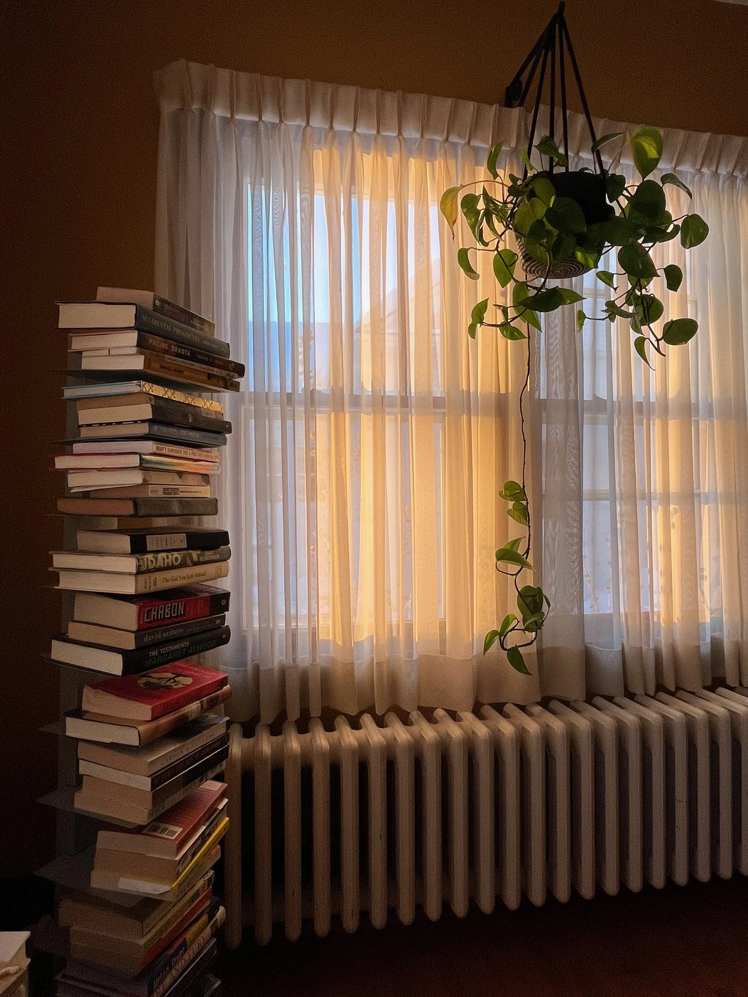 A cozy room interior featuring a window with sheer white curtains, sunlight glowing through, a hanging potted plant with green heart-shaped leaves, and a tall stack of books beside the window.