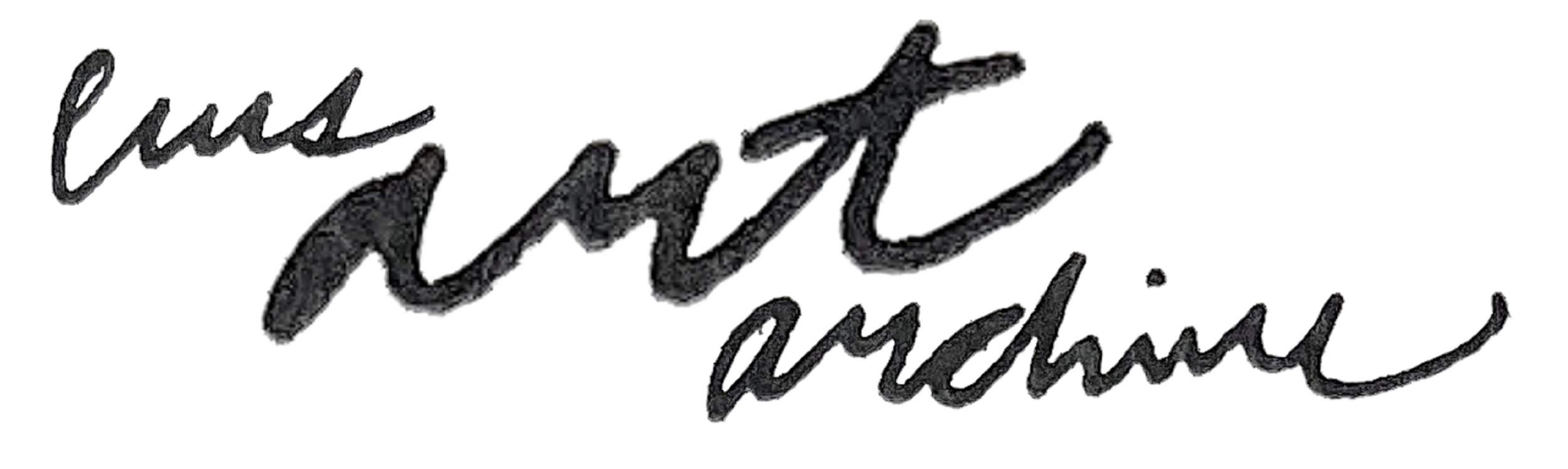 Text in a handwritten style that says "Public Aesthetic" in black on a transparent background.