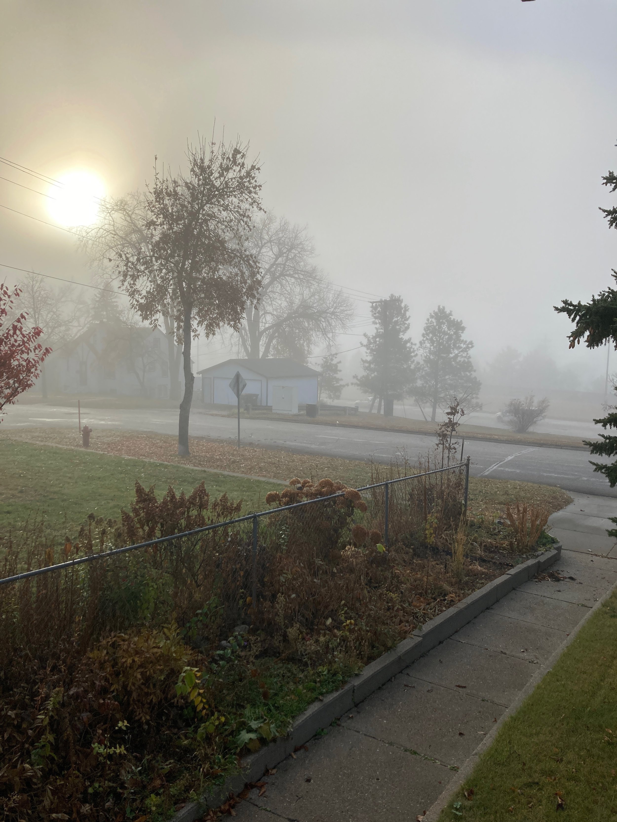 A foggy morning scene in a suburban neighborhood with a sidewalk, a small garden with plants and bushes, a chain-link fence, a street with a few parked cars, a house in the background, and trees partially obscured by the fog.