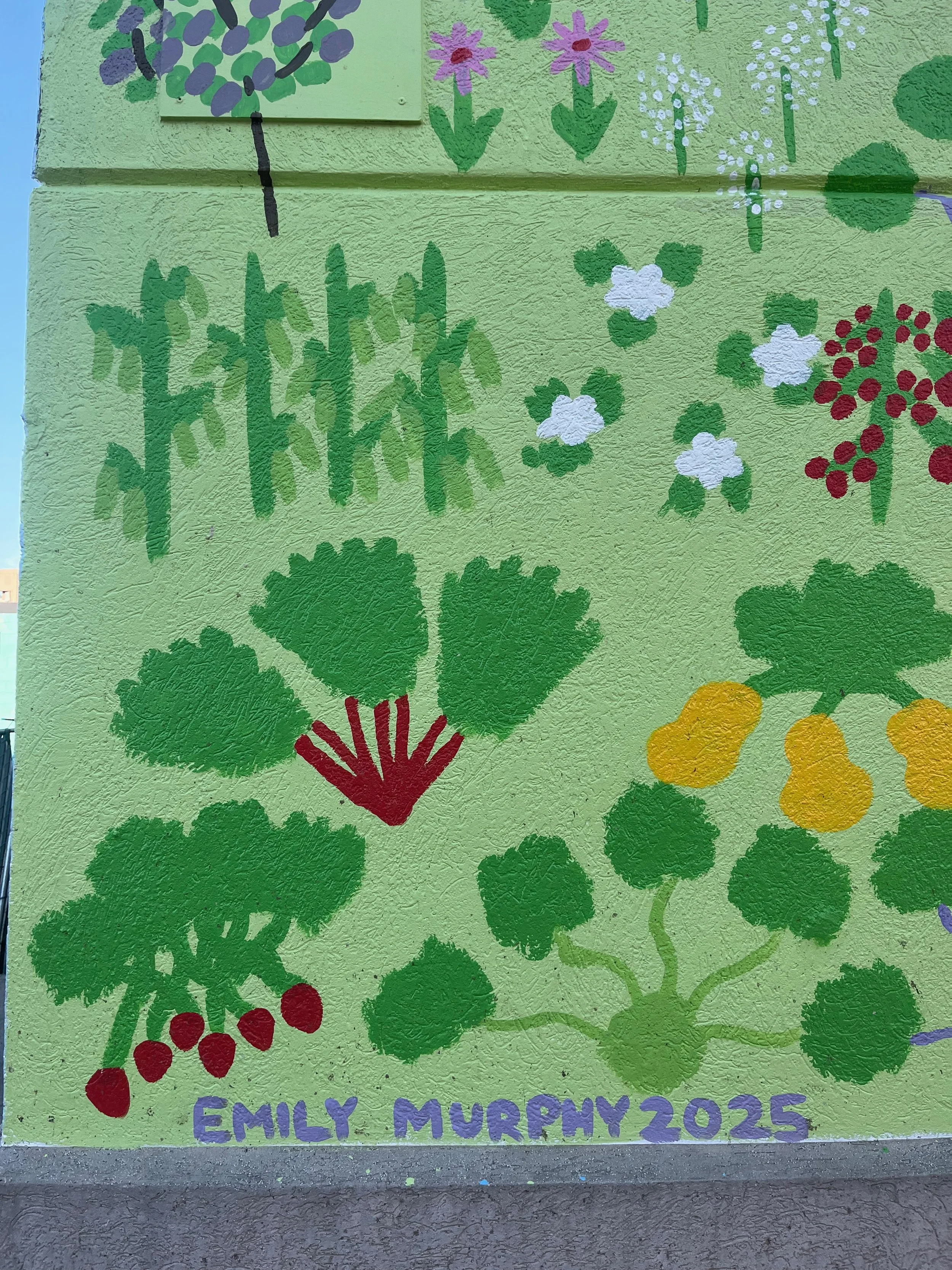 Colorful mural of various fruit and flower illustrations including strawberries, grapes, blueberries, and yellow pears on a green background with the name "Emily Murphy 205" at the bottom.