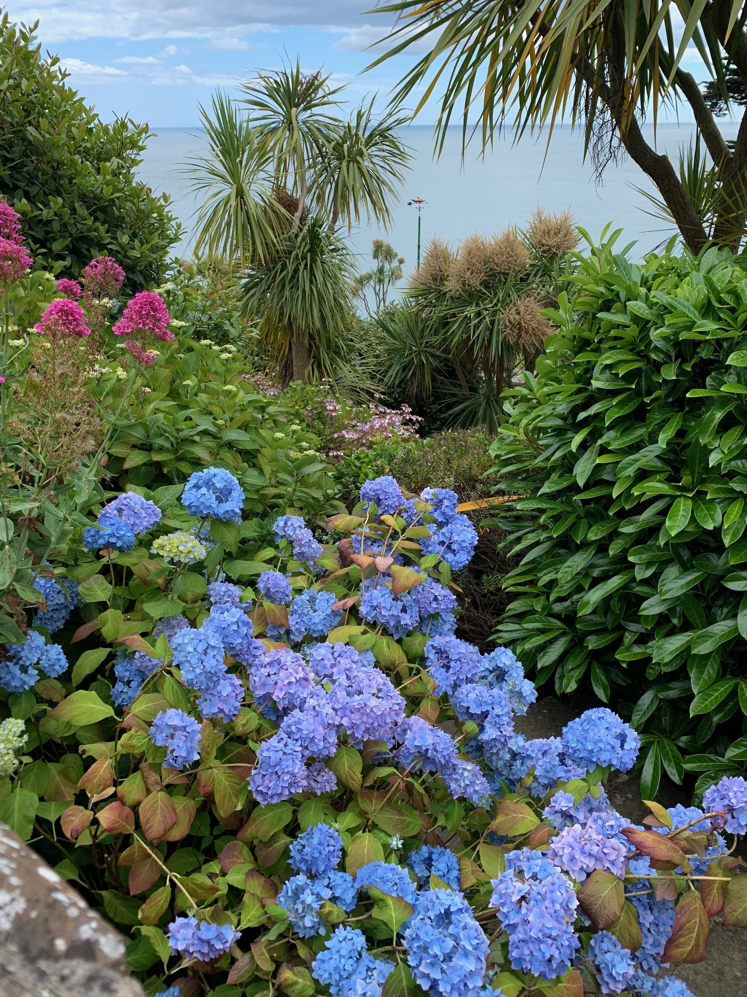 Colorful garden with pink, purple, and blue hydrangeas in the foreground, various green plants and palm trees, with the ocean and a sky with clouds in the background.