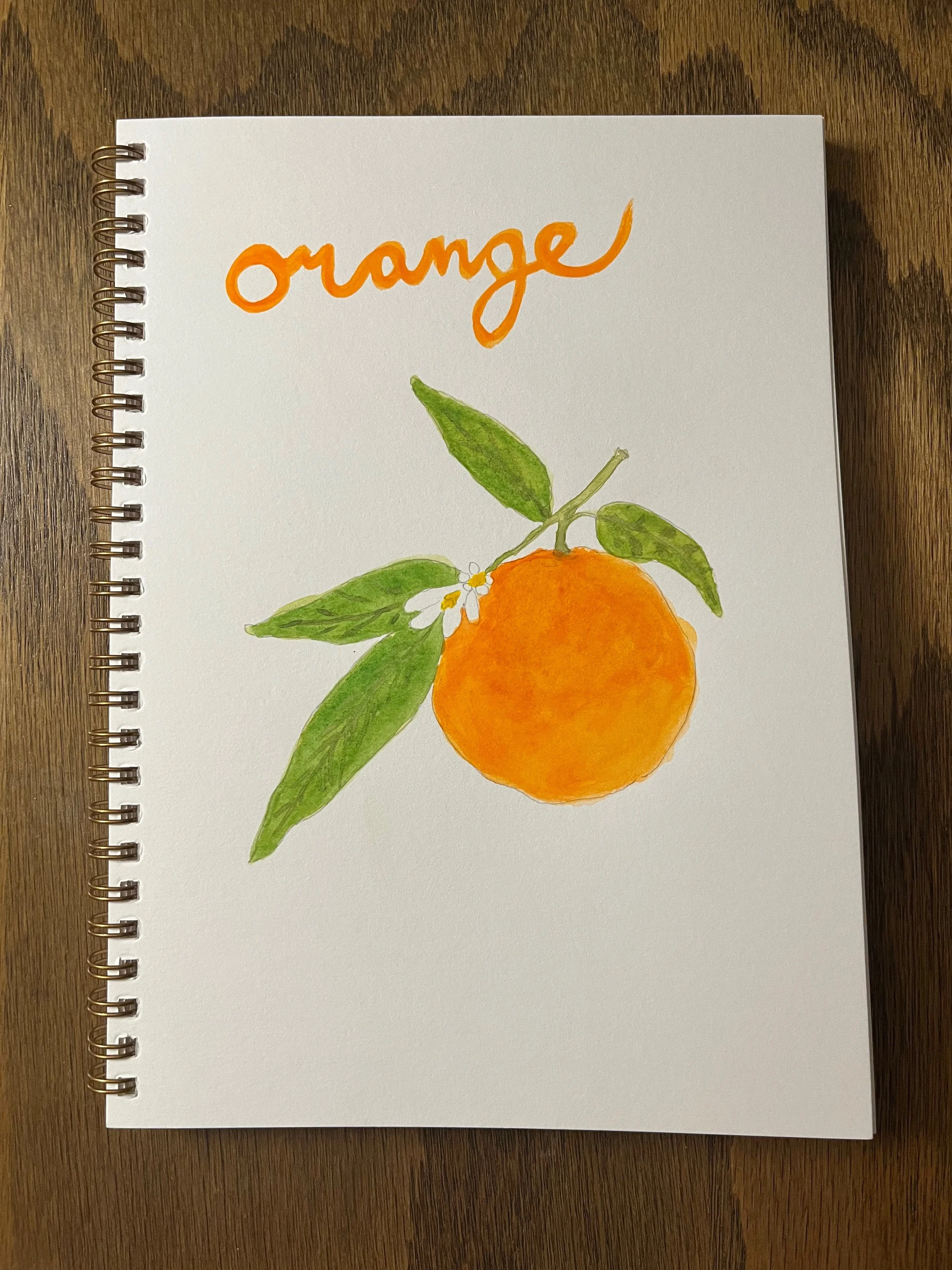 A notebook with a watercolor painting of an orange fruit, green leaves, and a small white flower. The word 'orange' is written in orange cursive at the top.