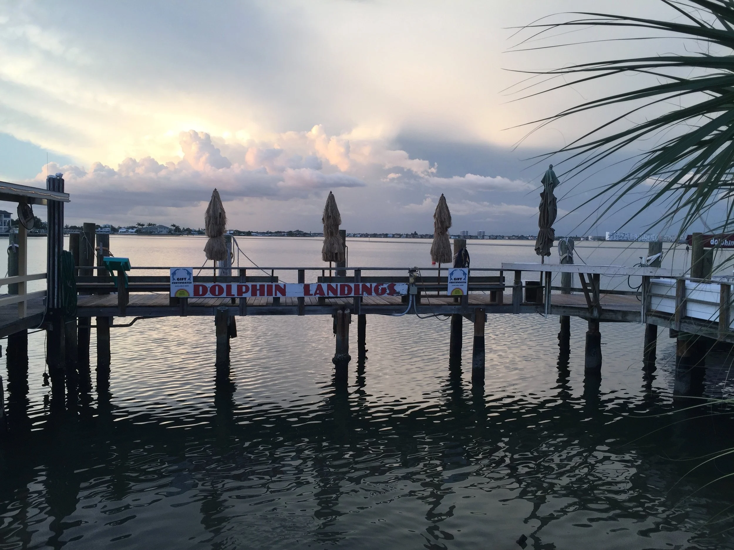 Dolphin landings dock on the water with closed umbrellas, a sign, and calm water reflecting the sky with clouds.