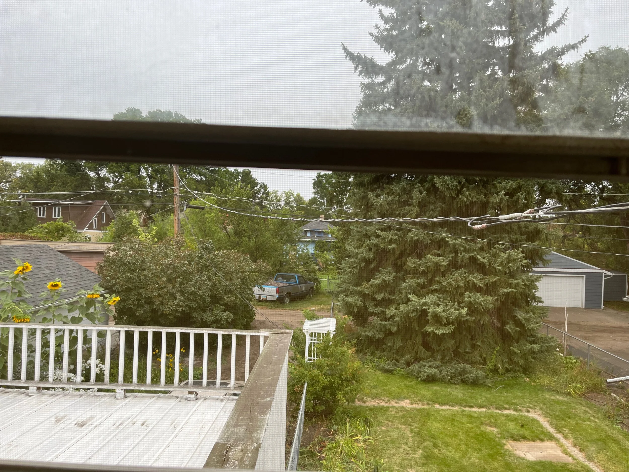 View through a window screen showing a residential backyard with a large tree, a parked truck, a house with a shed, electrical wires, a small lawn, and some sunflowers.