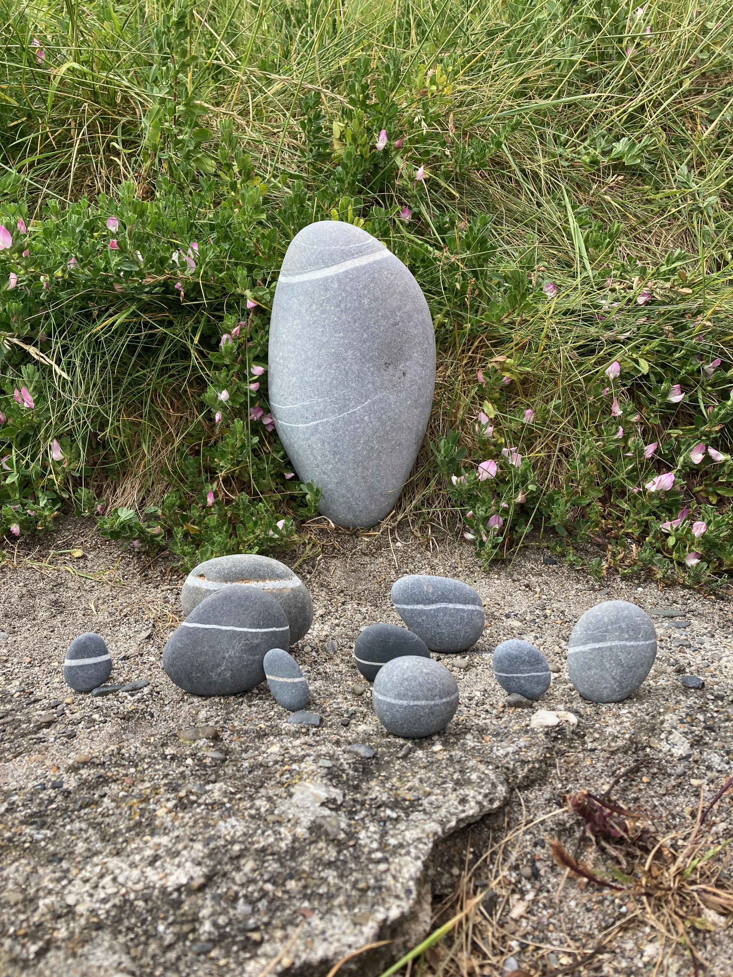 Collection of smooth, gray stones with white veins arranged on sandy ground near grass and small pink flowers.