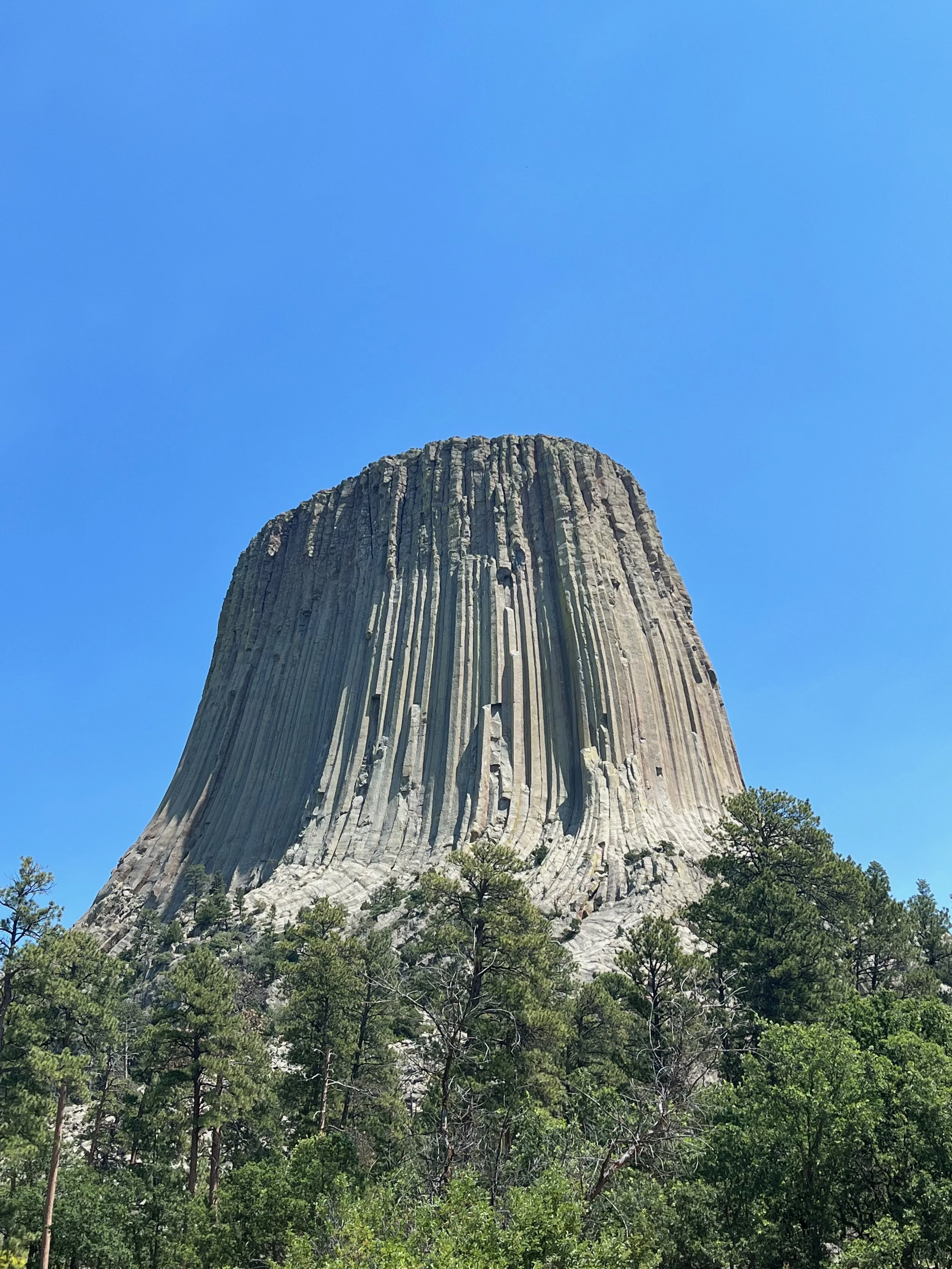 Large rock formation with vertical striations rising above green trees under a clear blue sky.