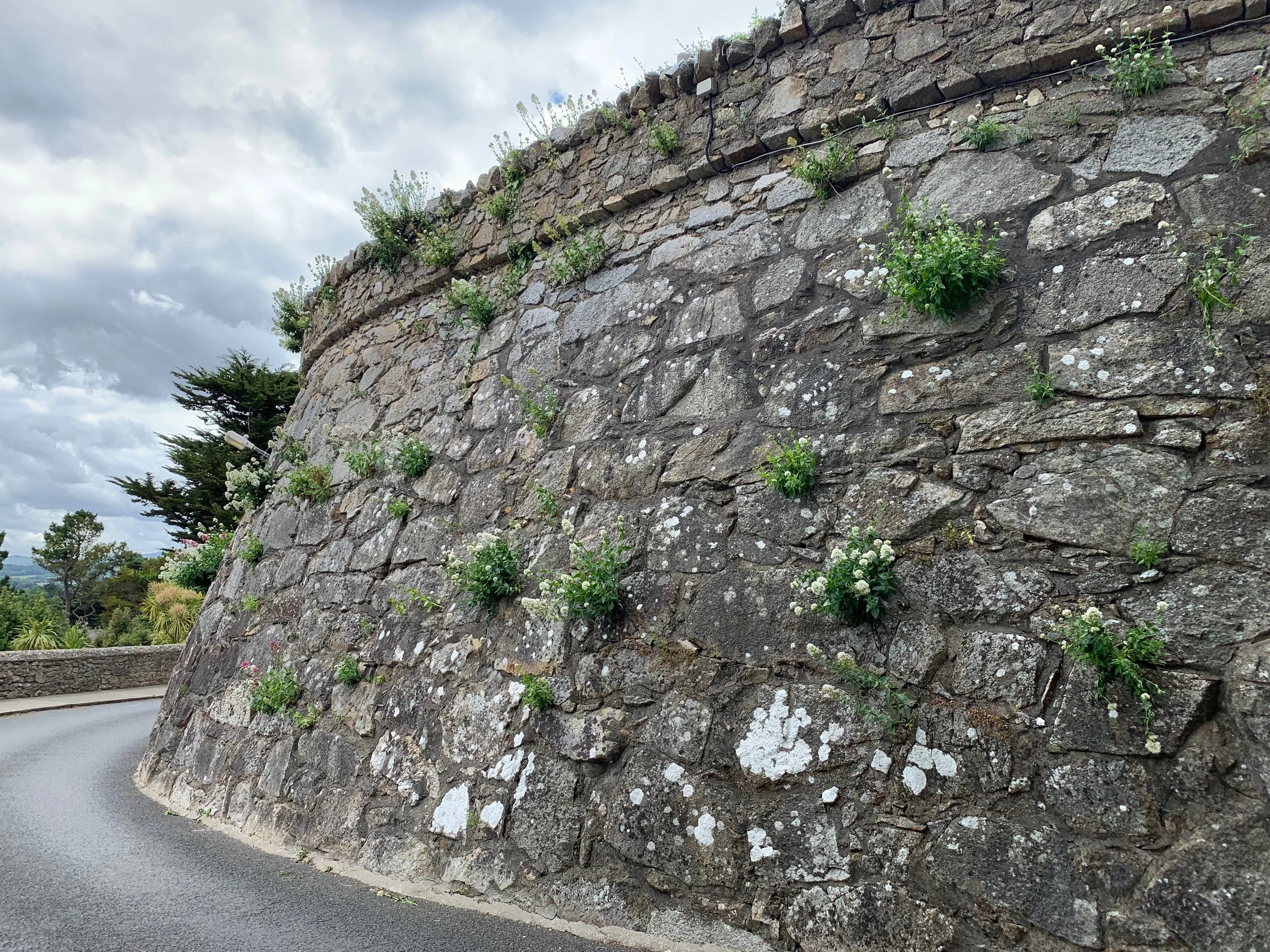 A curved stone retaining wall with small plants and white flowers growing between the stones, with a cloudy sky above and trees in the background.