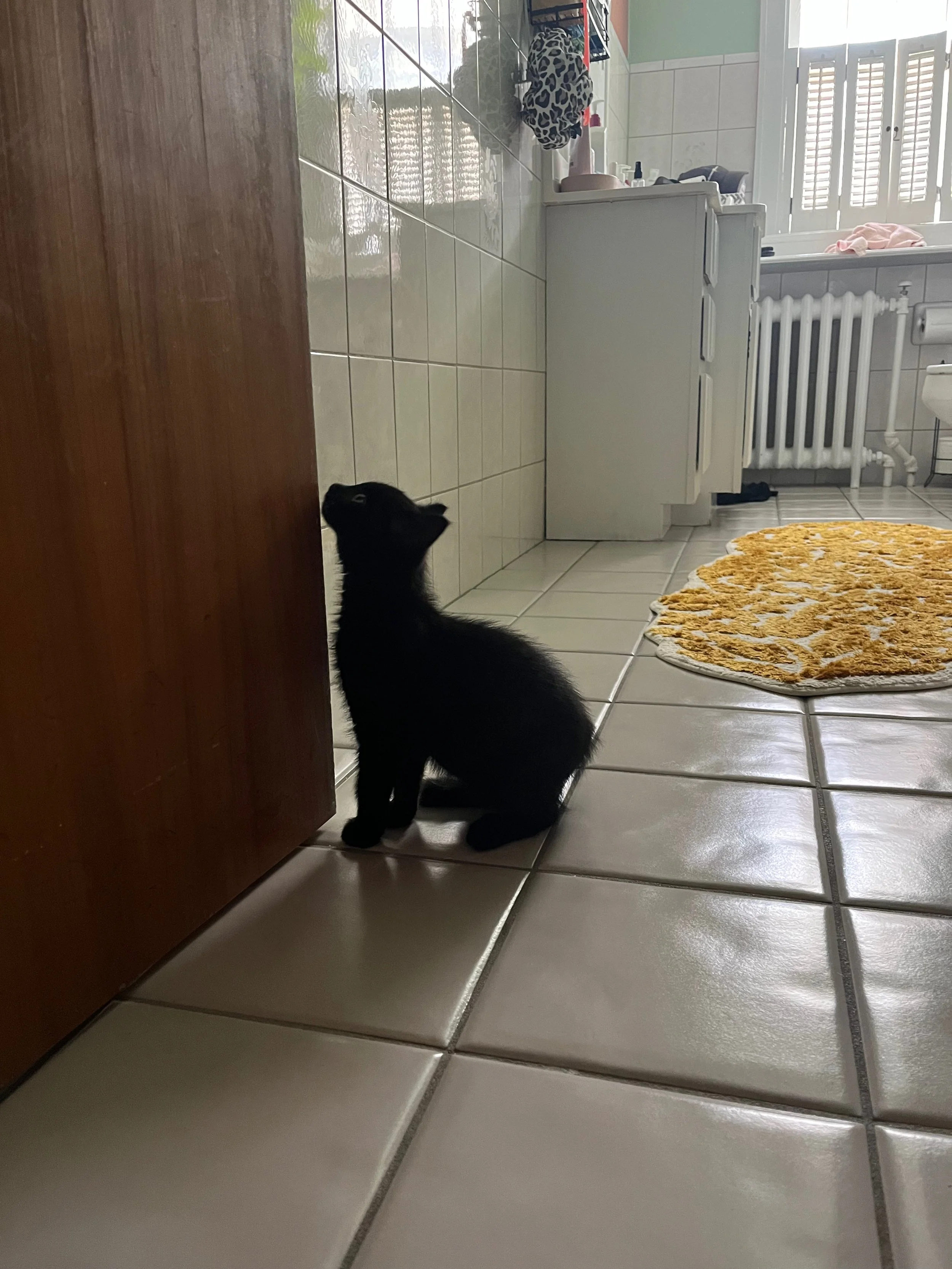 A black kitten sitting on white tiled floor next to a wooden door in a brightly lit room with a window and radiator, with a yellow and white patterned rug nearby.