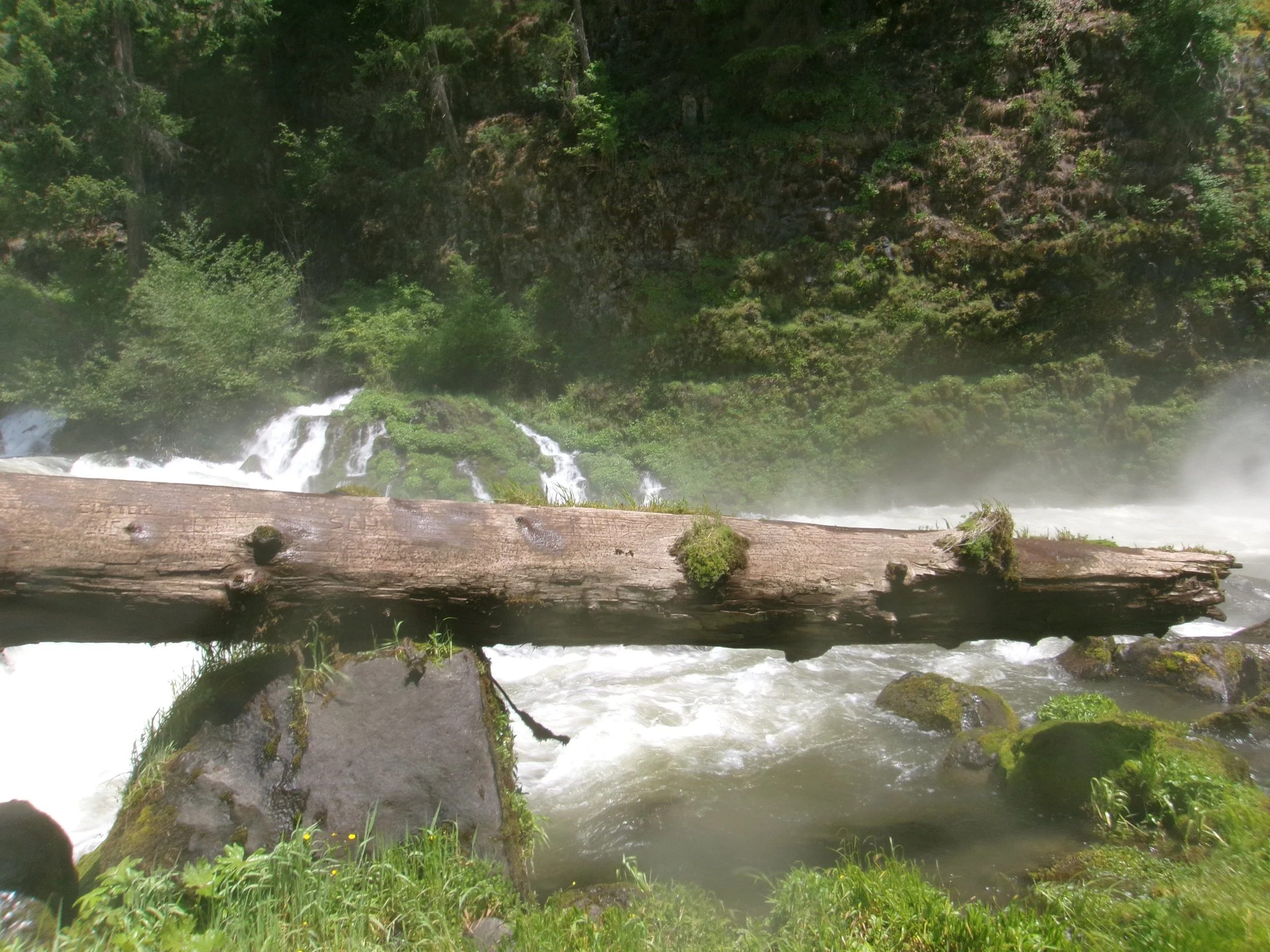 A log resting across a stream in a lush green forest, with a waterfall and moss-covered rocks in the background.