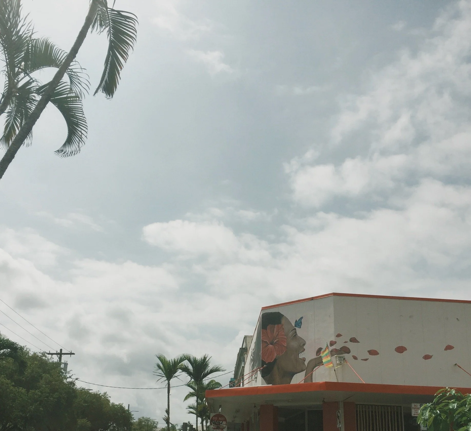 A mural of a woman with flowers in her hair and a butterfly near her face on the corner of a building, with palm trees and cloudy sky in the background.