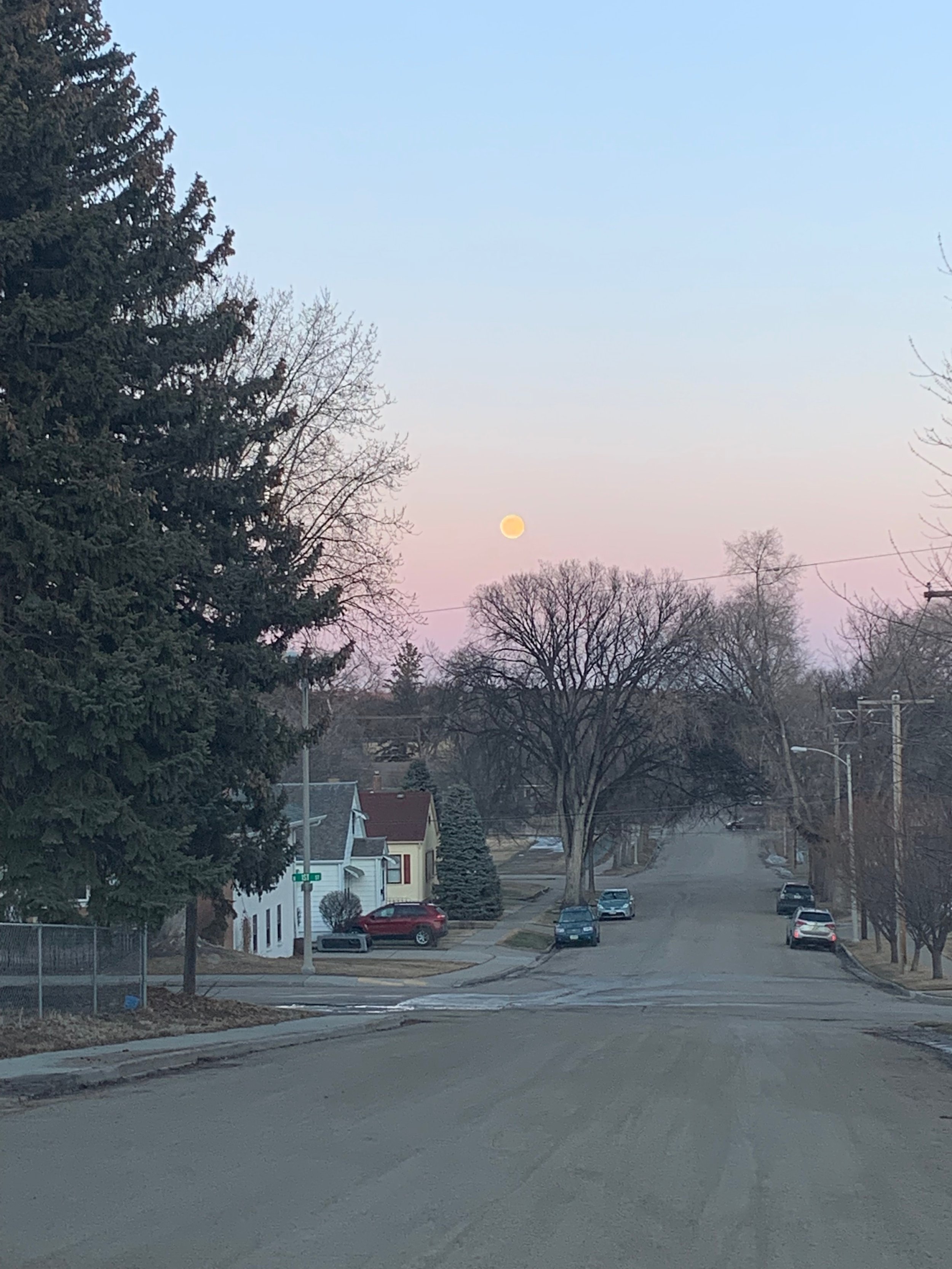 A peaceful suburban street at dusk with a visible moon in a pink and blue sky, leafless trees lining the street, houses, and parked cars.
