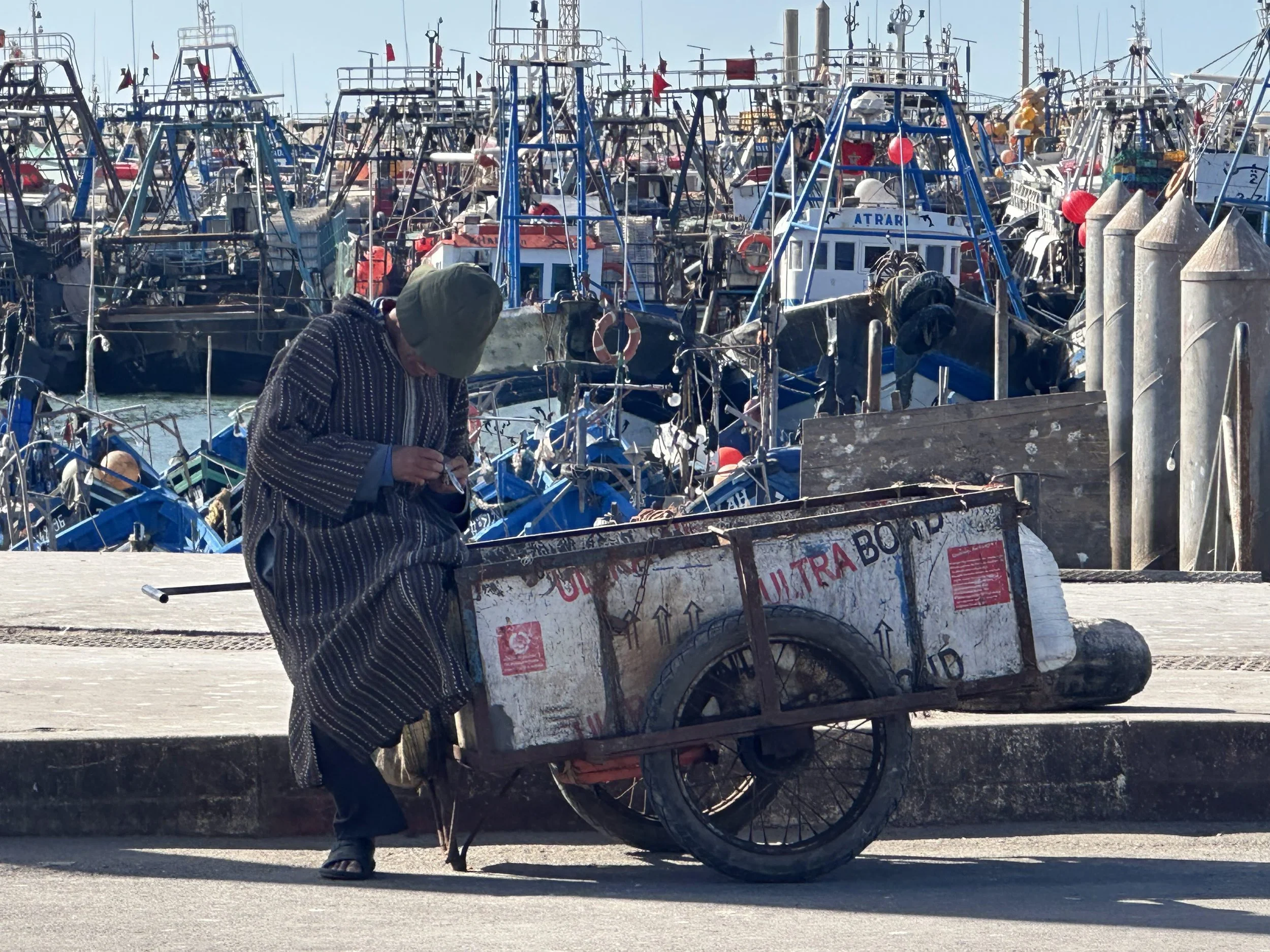 IMG_8104.jpg