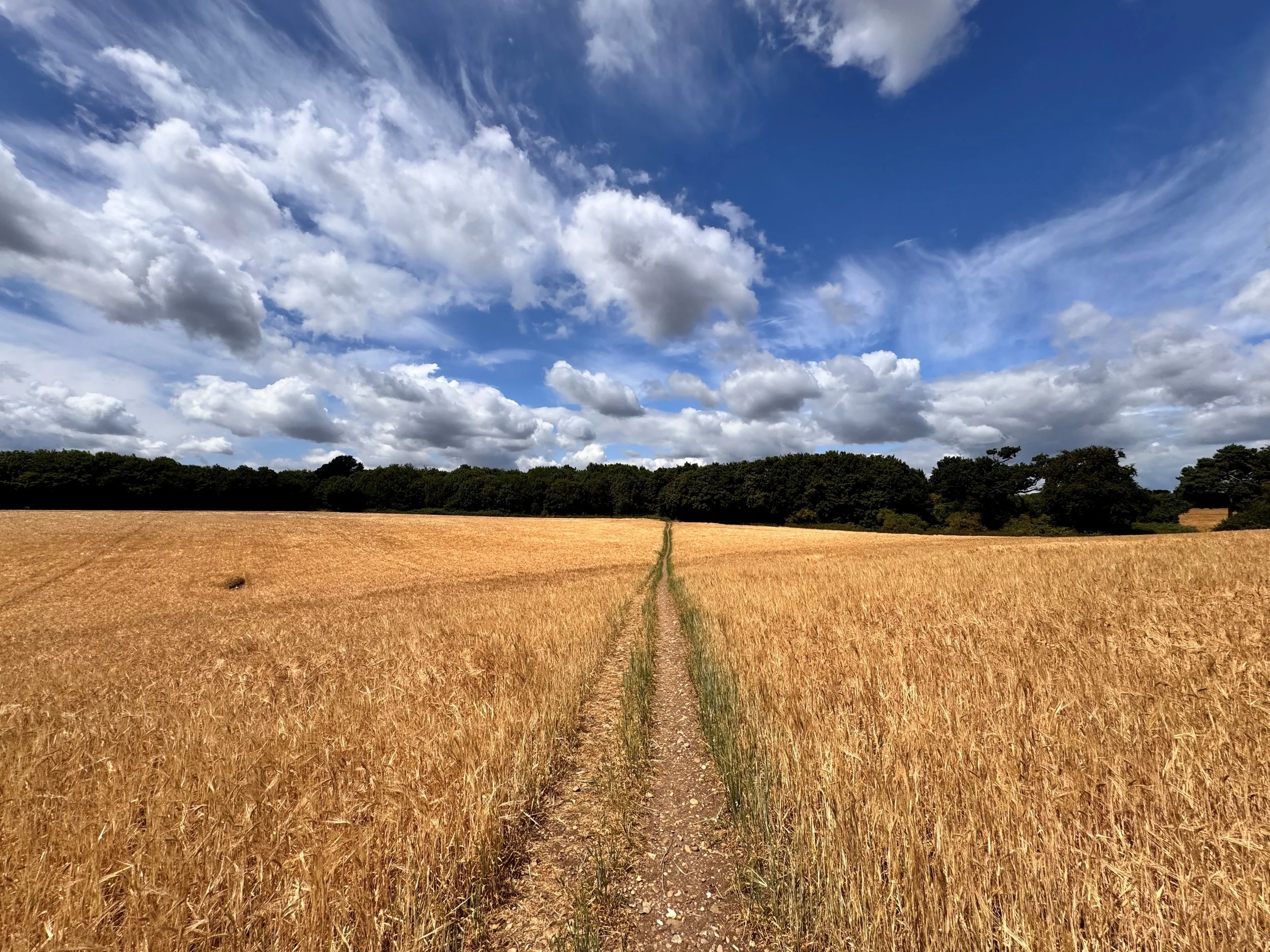 Green Belt