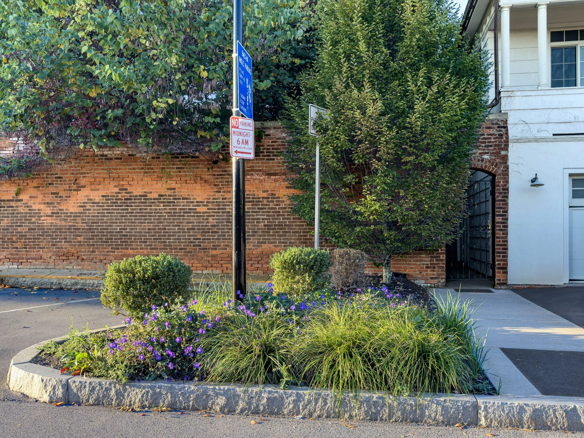 A landscaped urban street scene with a flower bed containing purple and red flowers, surrounded by a concrete border. Behind the bed, there are two signs attached to a black pole, one indicating a parking restriction and the other indicating a parking zone. The background features a brick wall, green bushes, a large tree with dense foliage, and part of a white house with windows and a lantern-style light fixture.