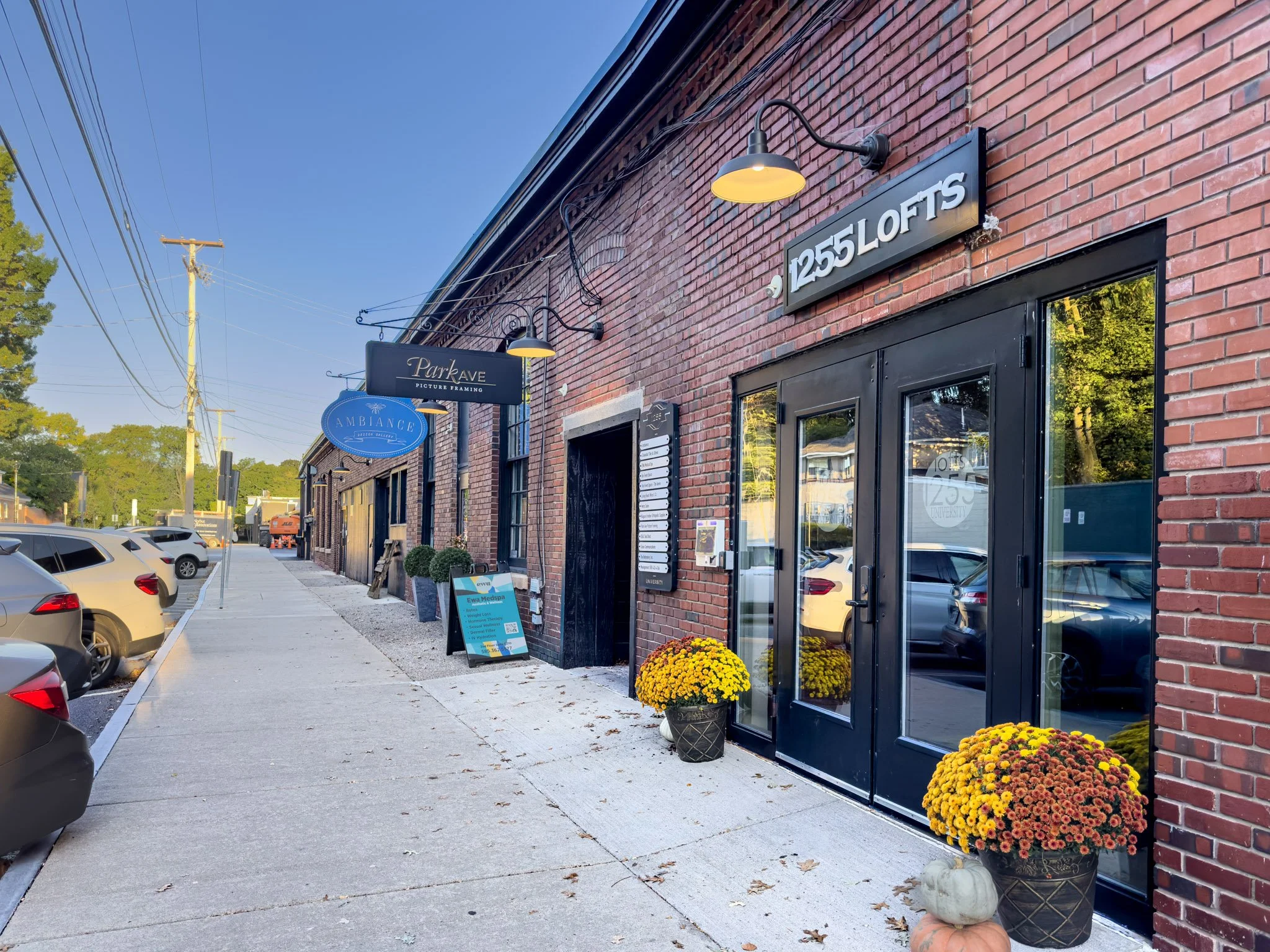 A brick building with black window and door frames, illuminated signage for '1255LOFTS' and other businesses, and potted orange and yellow chrysanthemums in front. Park Ave signage is also visible, along with parked cars on the street.