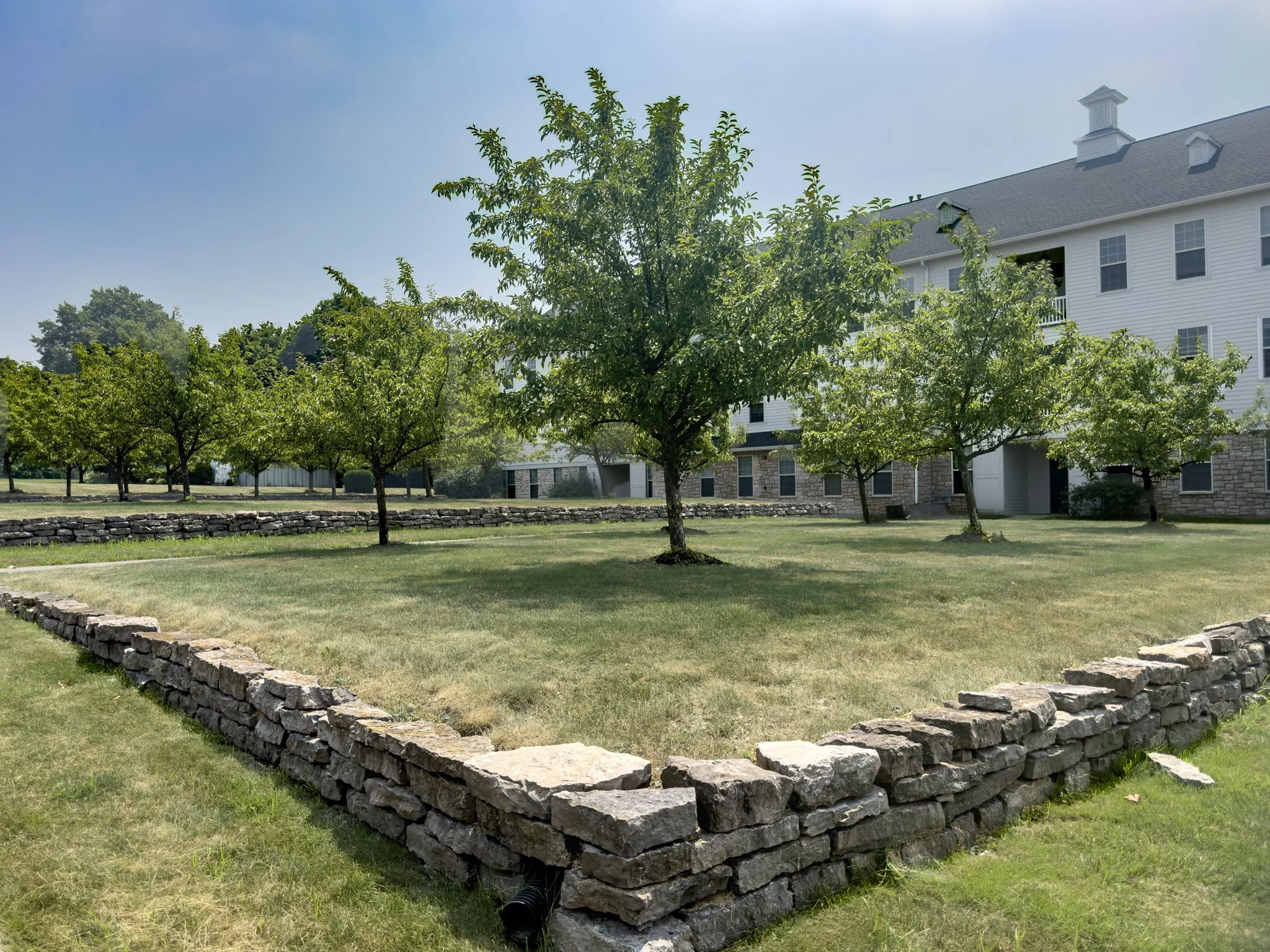 A grassy lawn with a stone border and several trees in front of a white residential building with a gray roof.