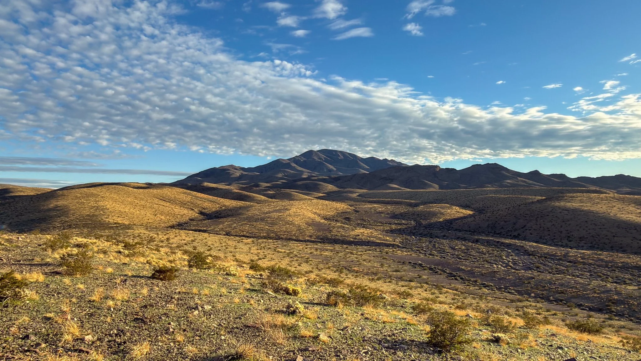 Short jaunt in the Resting Spring Range