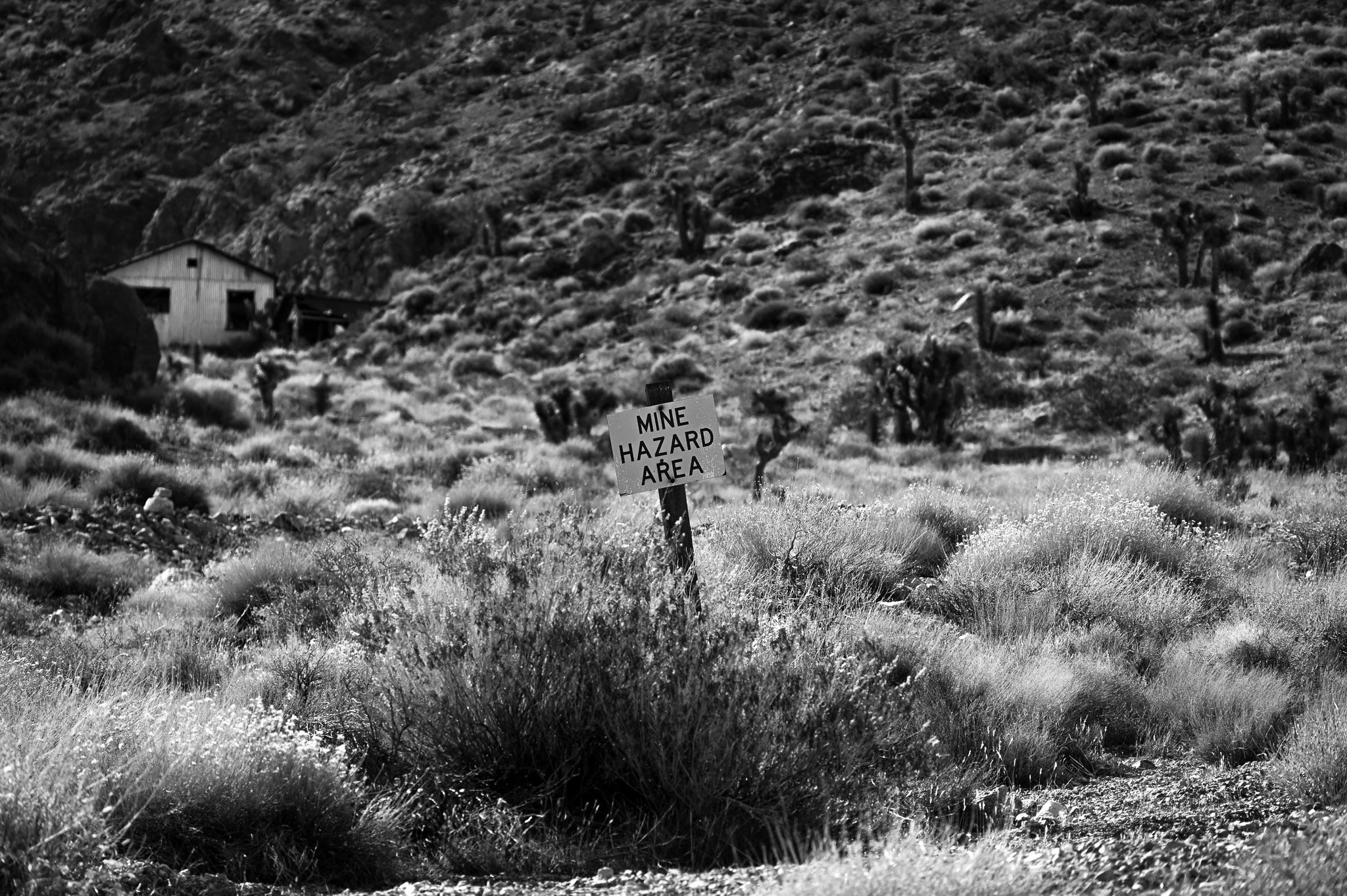 Entering the Lemoigne cabin area. 