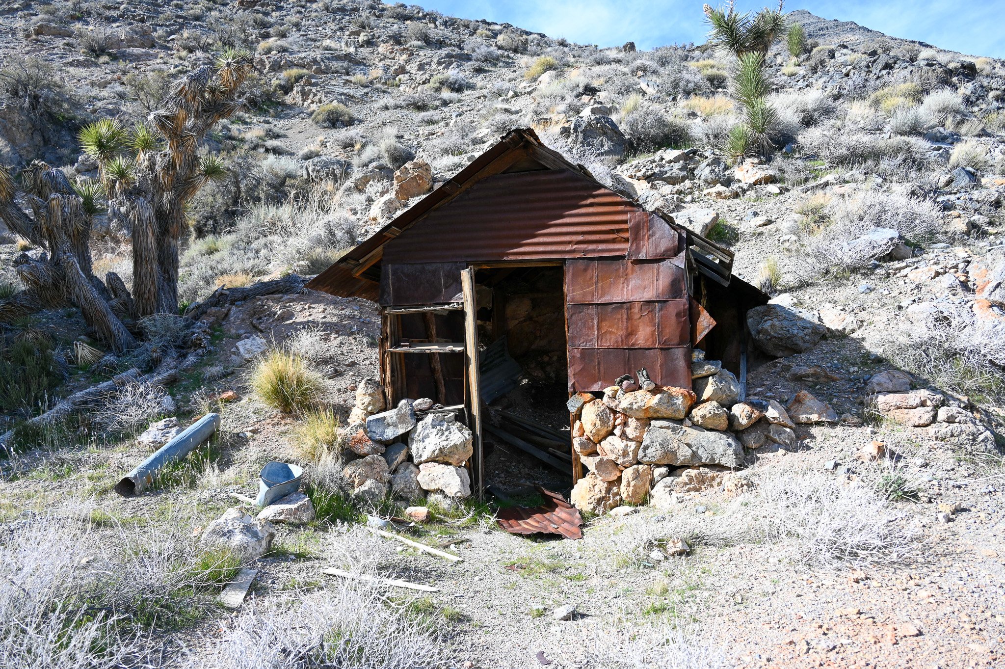  John Lemoigne’s cabin built sometime before his death in 1919. 