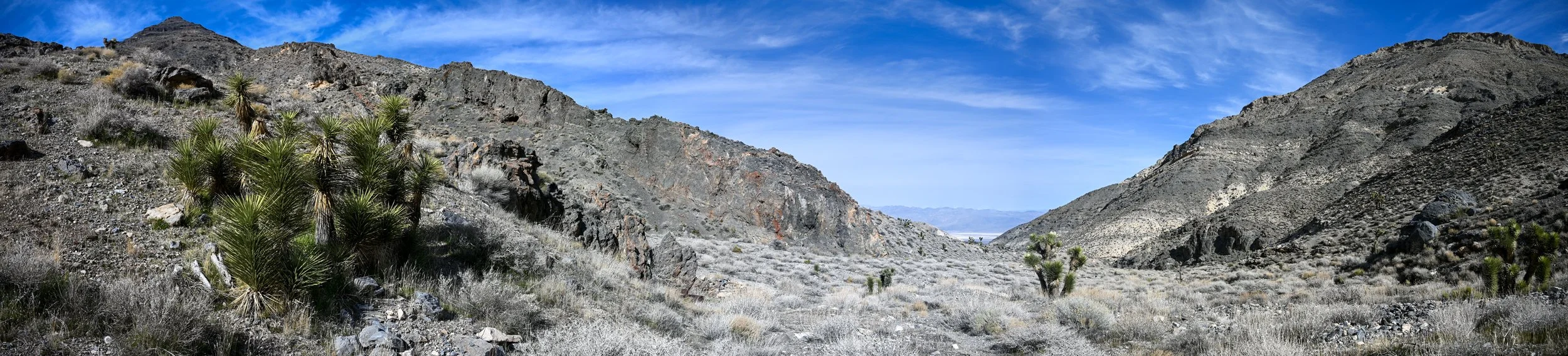  Looking out from the Lemoigne cabin. 