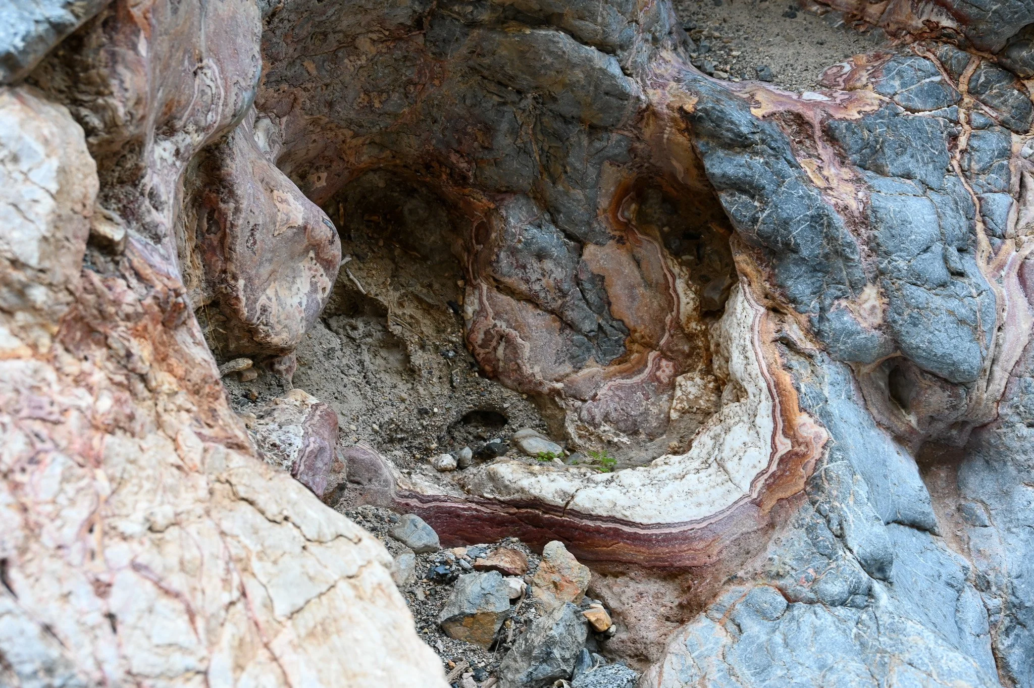  Folded, banded rock (likely silica-rich), showing ductile deformation and differential weathering. 