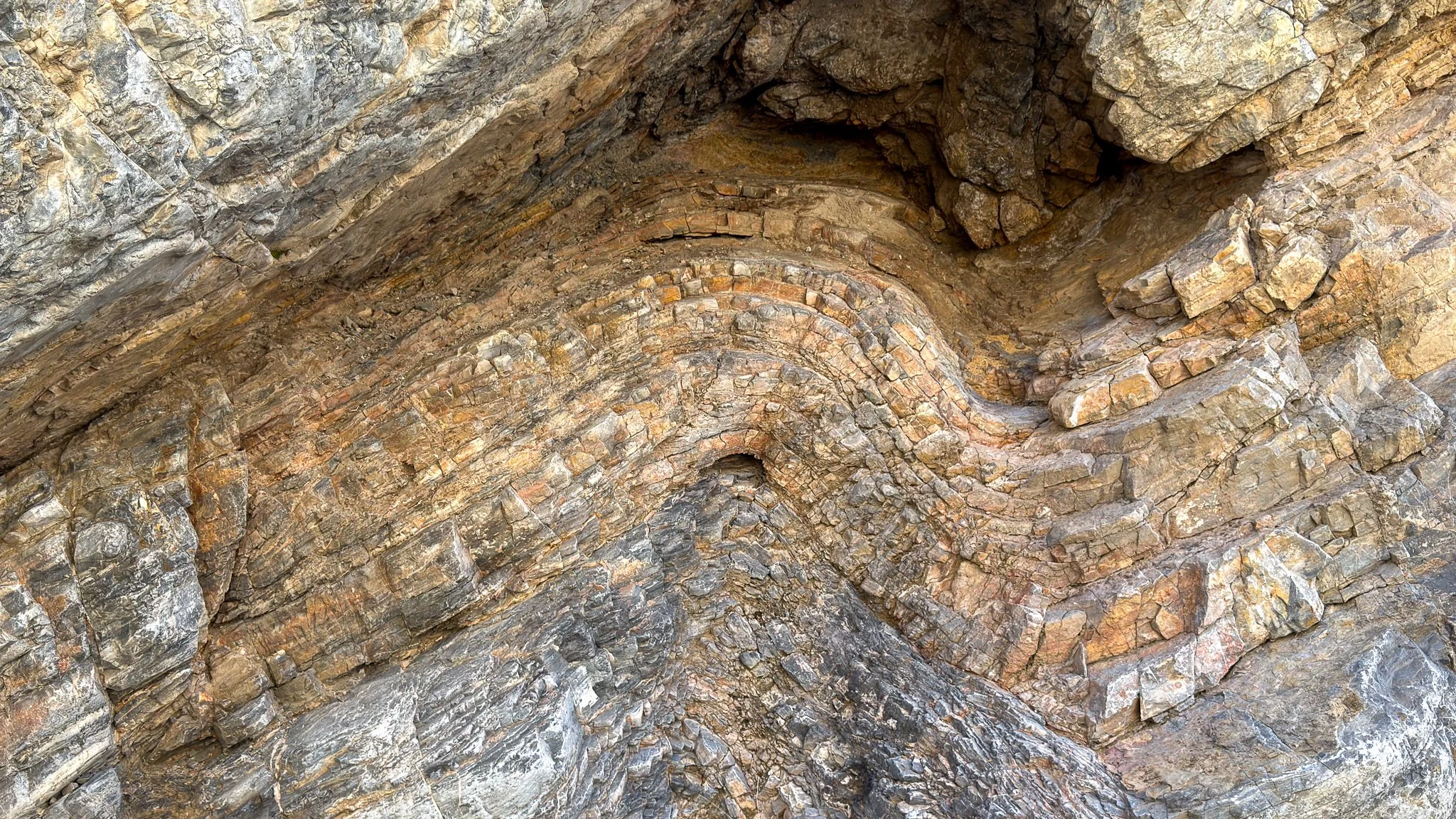  Tight fold in thin-bedded sedimentary rock, recording deep burial, compression, and later uplift. 